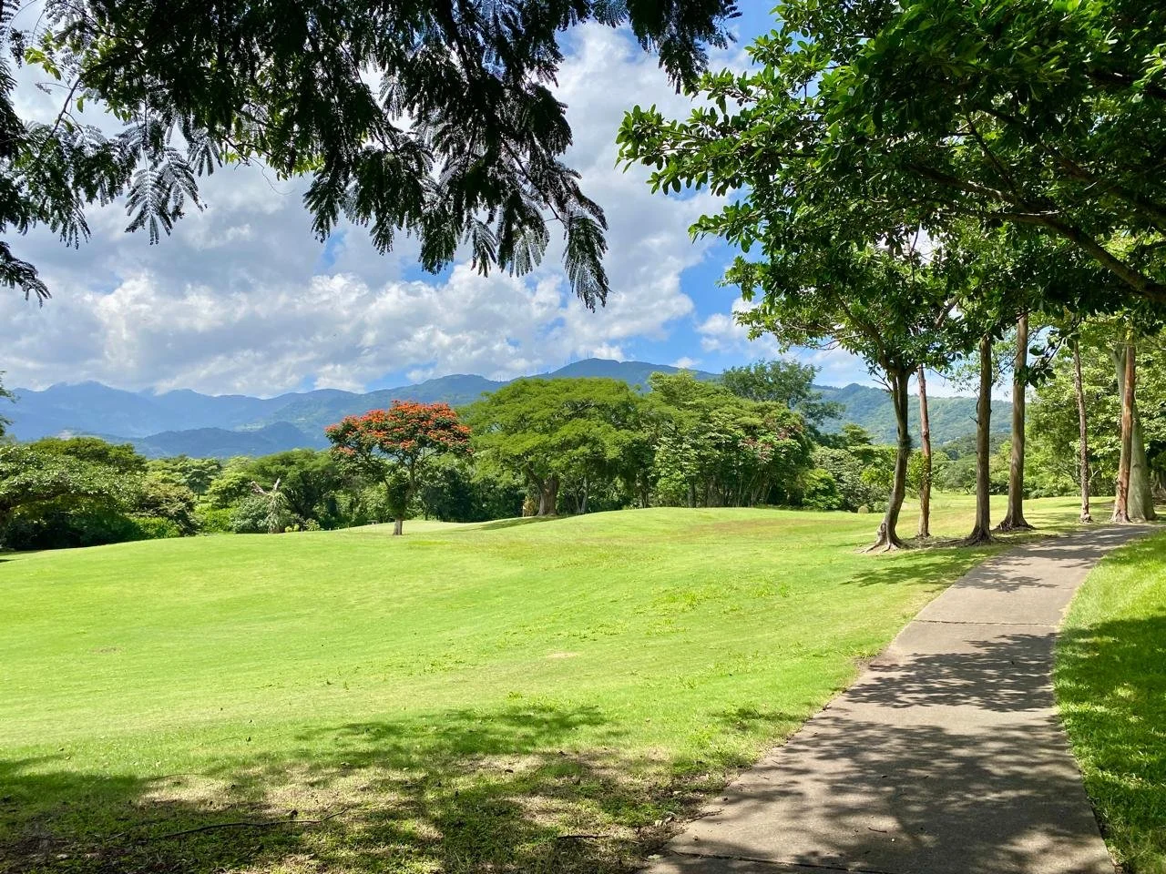 Sendero de concreto a través de un parque con árboles verdes y montañas al fondo bajo un cielo nublado.
