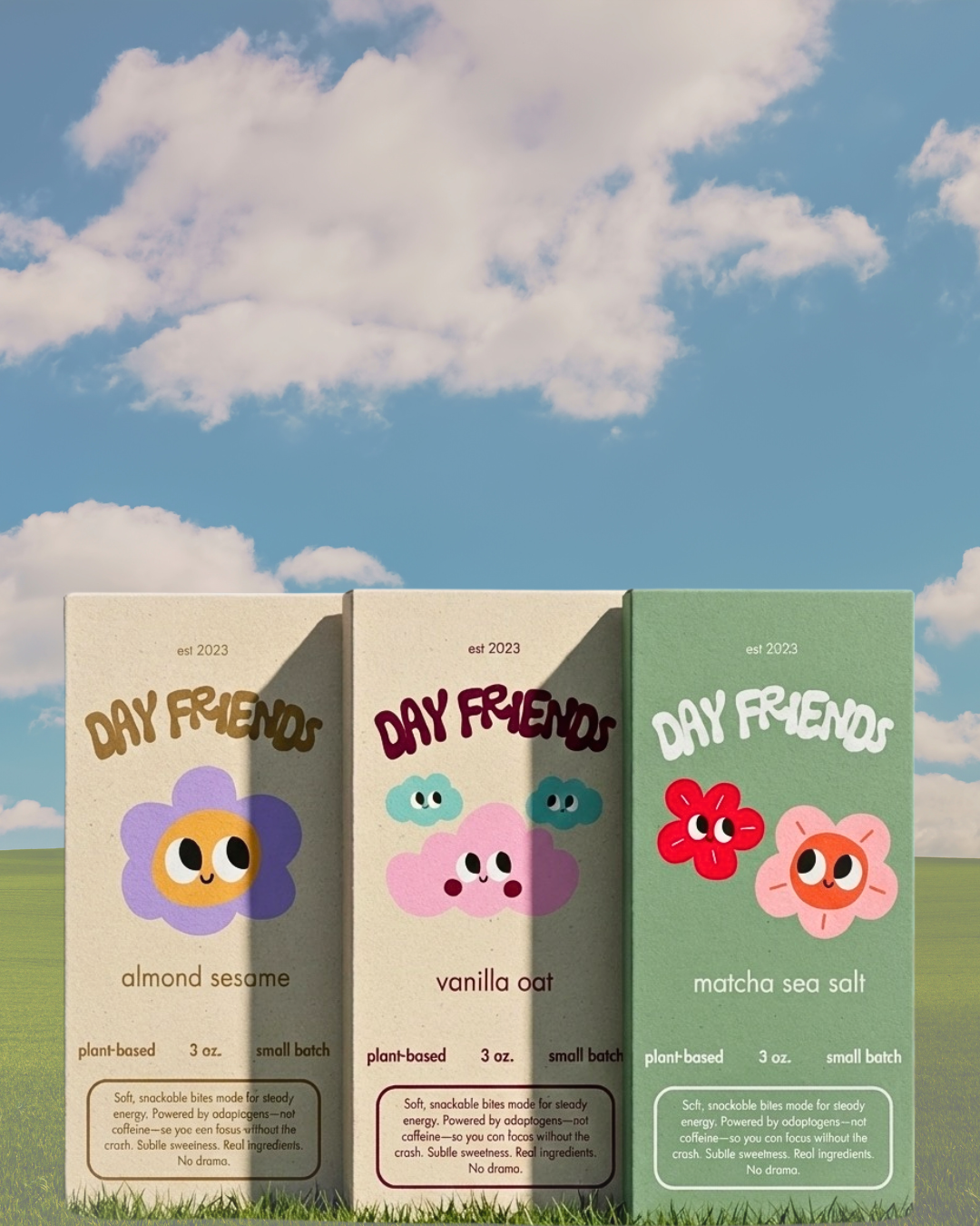 DAY FRIENDS pckging.png