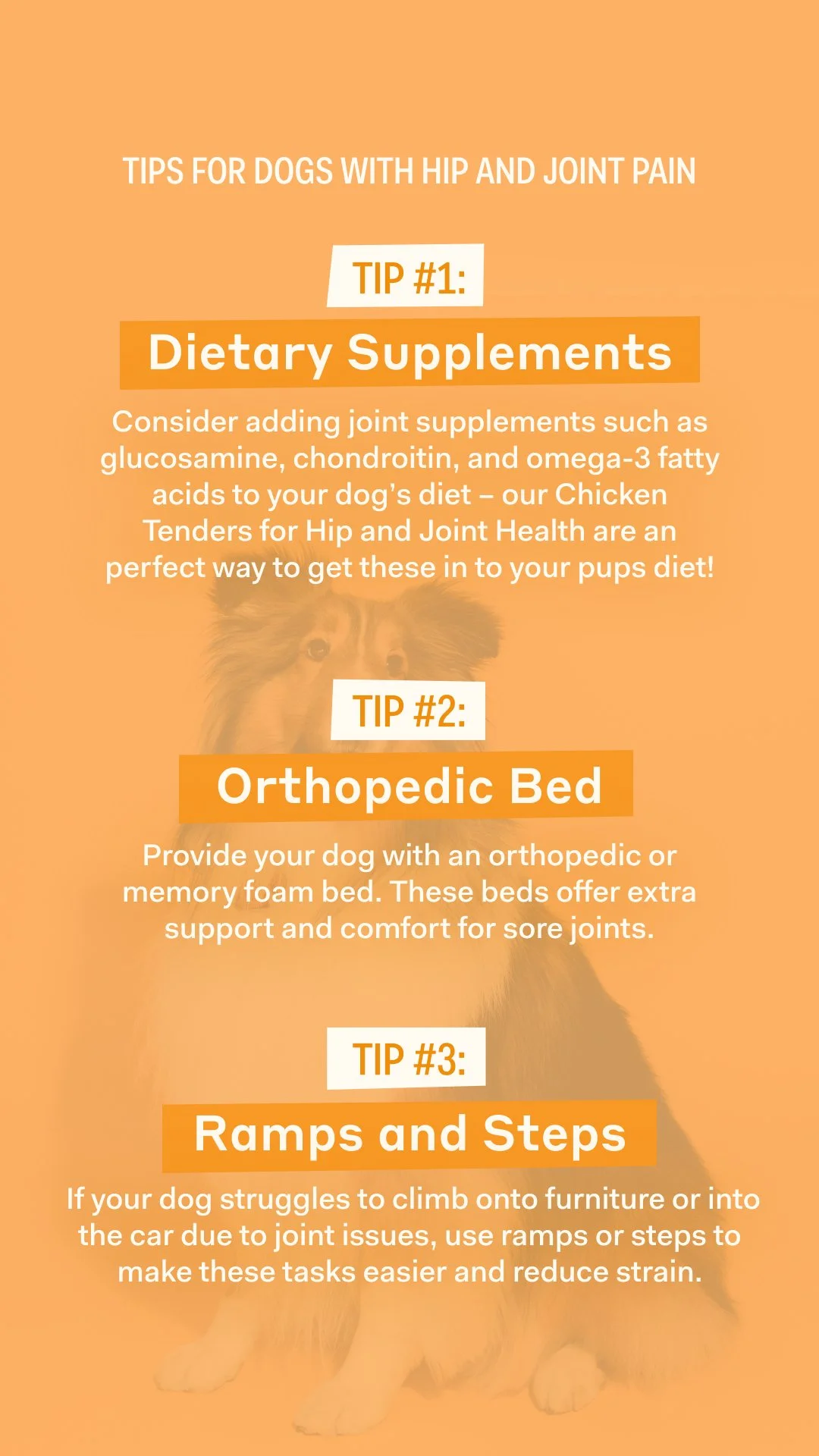 10.19 - Hip and Joint Pain.jpg