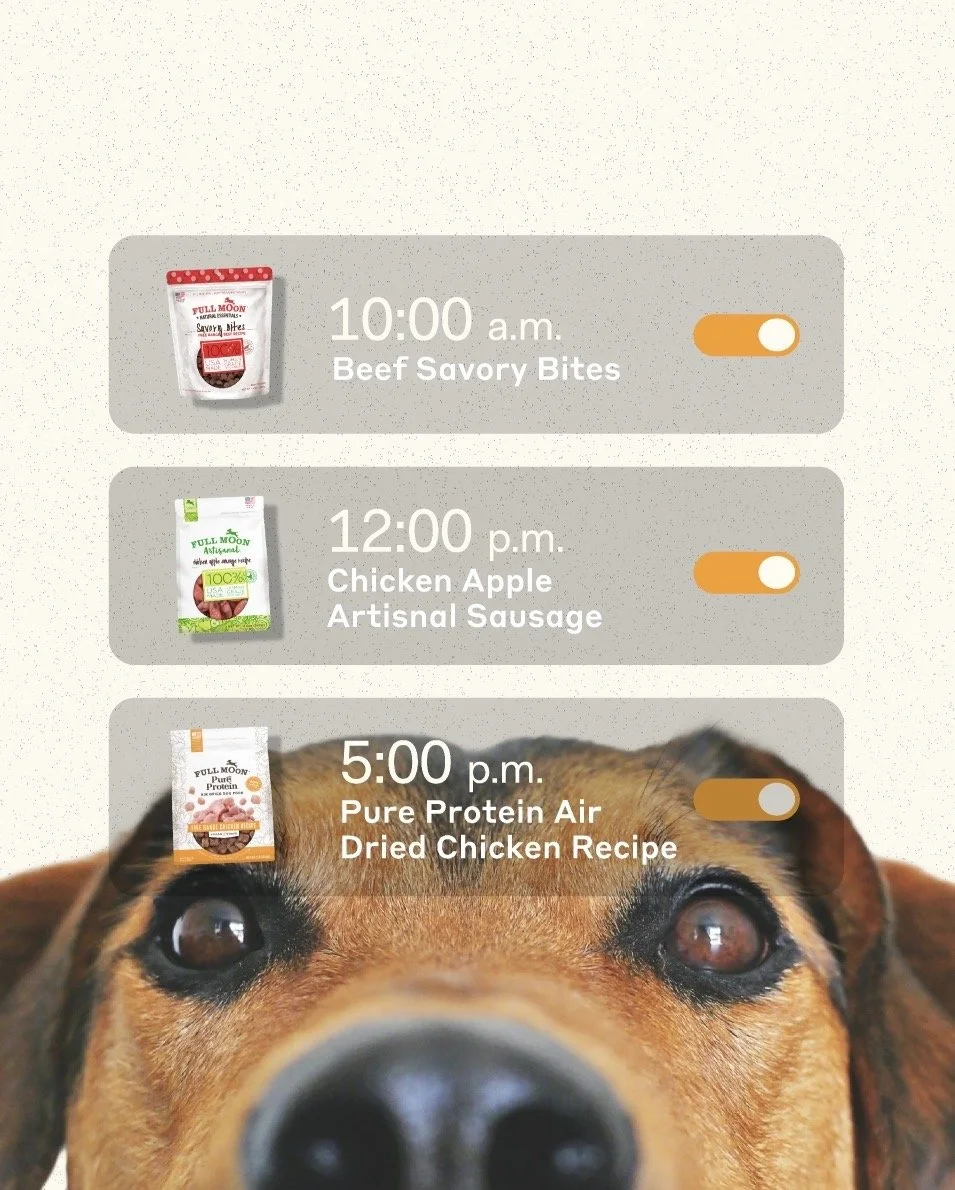 Scheduling app interface with three meal times and snack options, featuring images of beef savory bites, chicken apple artisanal sausage, and dried chicken recipe dog treats over a dog's face background.