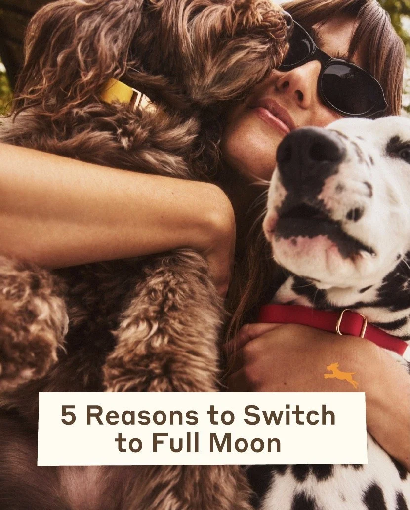 A woman hugging two dogs, one with curly brown fur and sunglasses, and the other a Dalmatian with a red collar, with a text overlay that reads "5 Reasons to Switch to Full Moon."