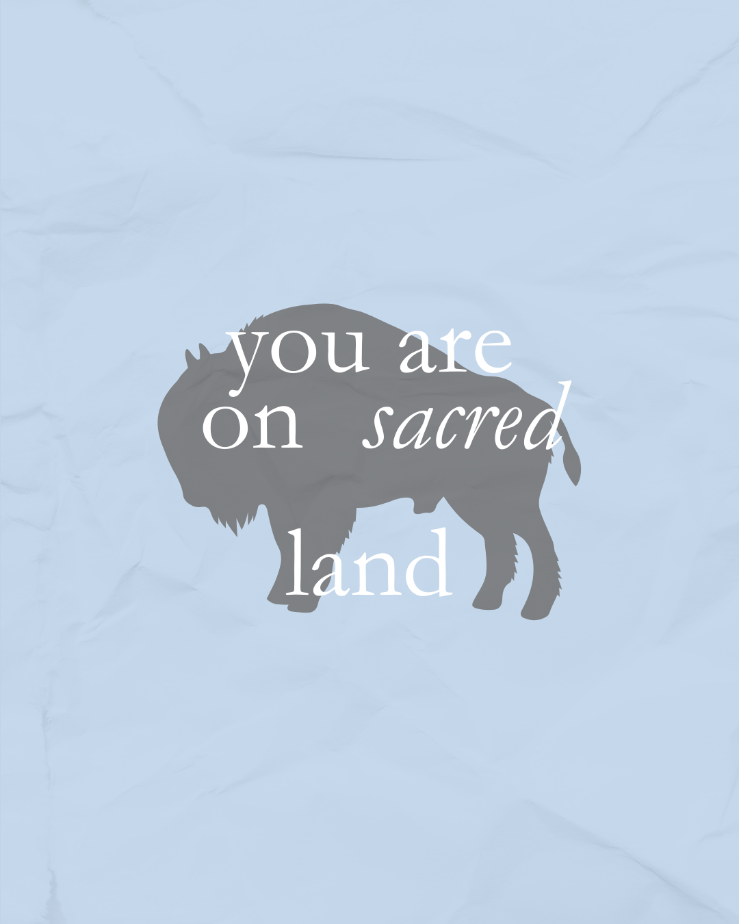 Silhouette of a bison with the phrase "you are on sacred land" overlaid in white text.