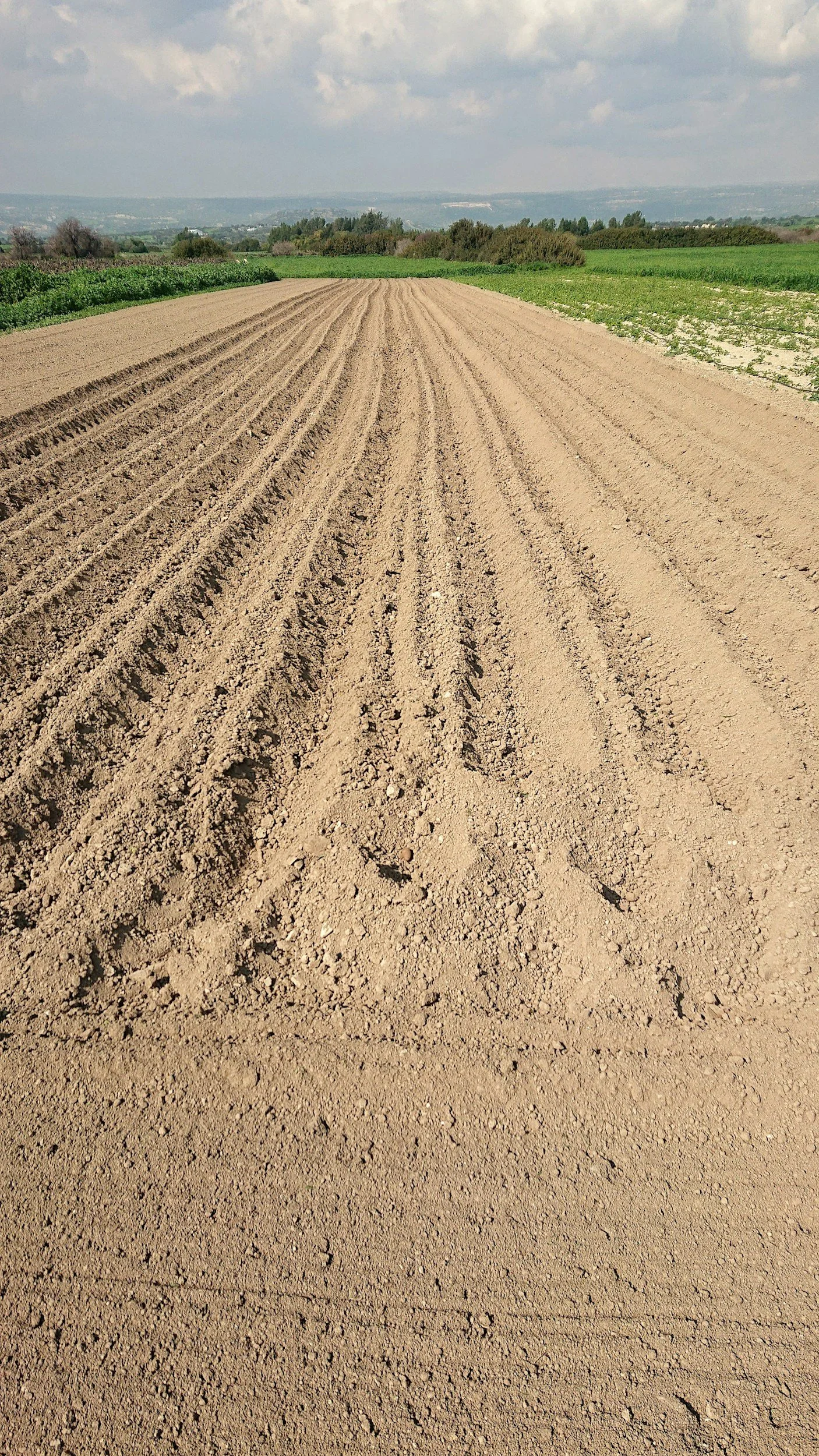 A plowed agricultural field with furrows, surrounded by other green fields and distant trees under a partly cloudy sky.