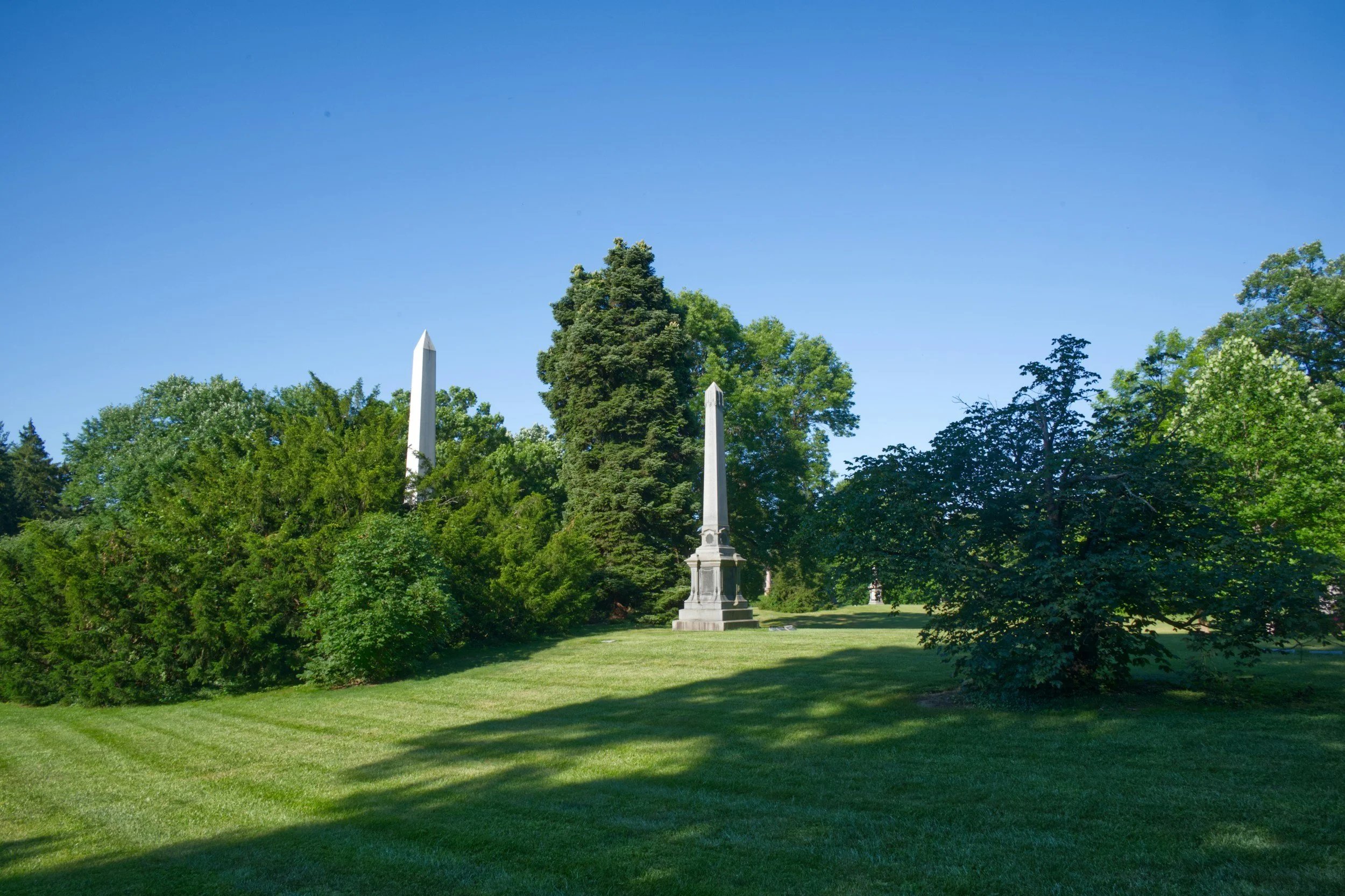 Grassy cemetery with green trees under a clear blue sky.