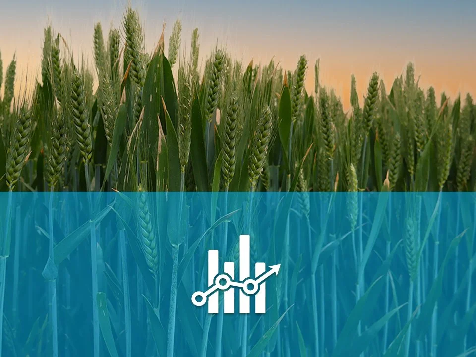 Daily Country Market Report