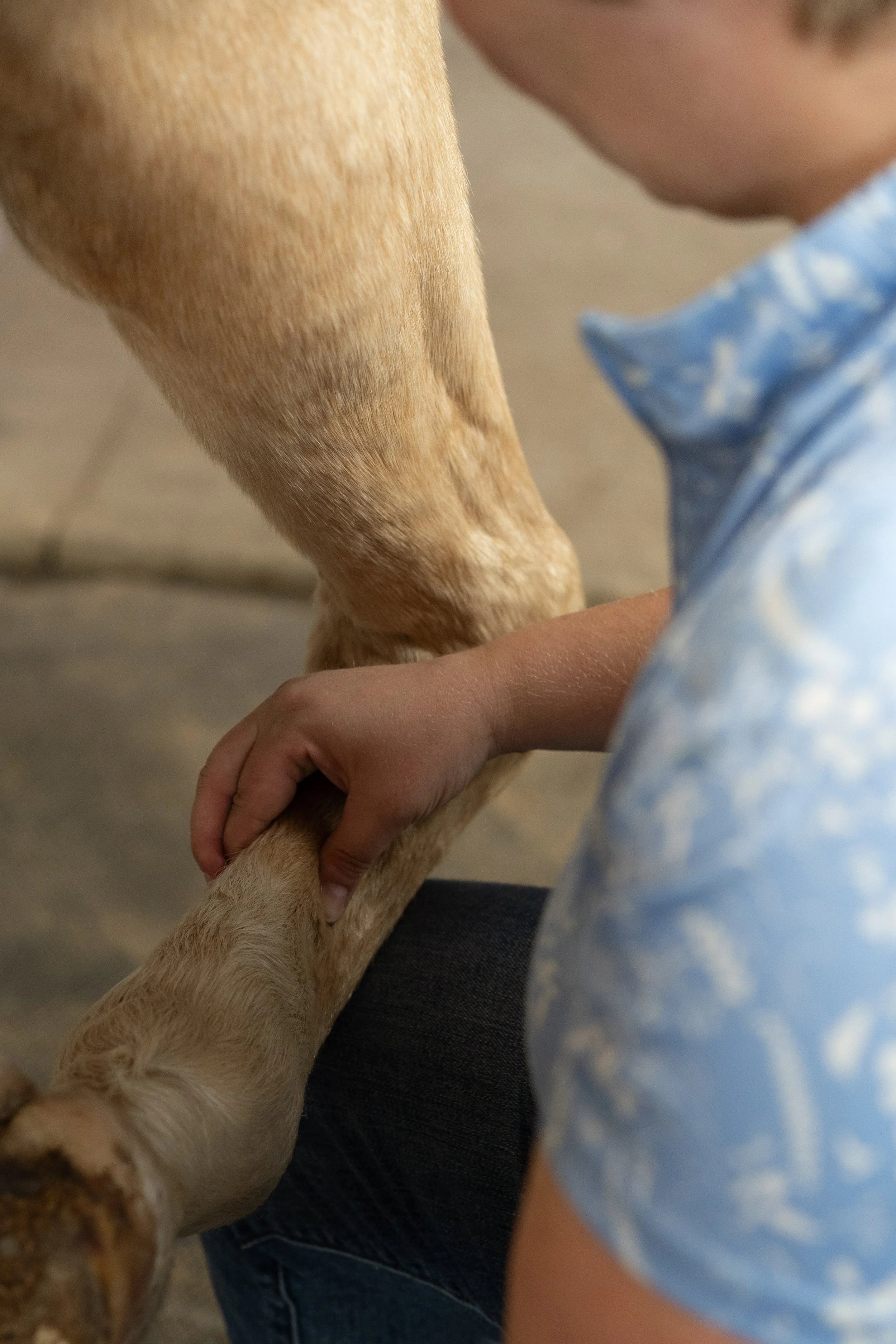 Tendon and Ligament Massage