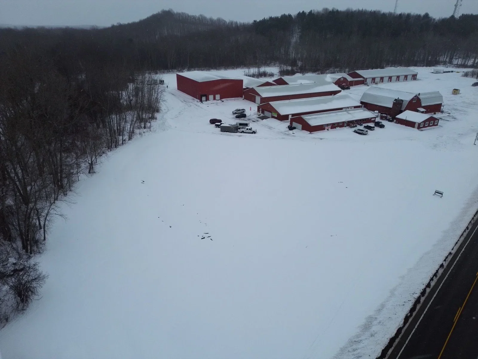 Northrose5.webp