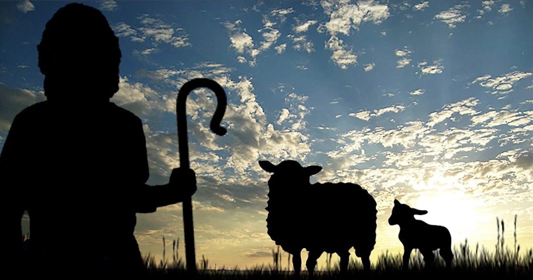 What to Expect When You’re Expecting Baby Goats and Lambs