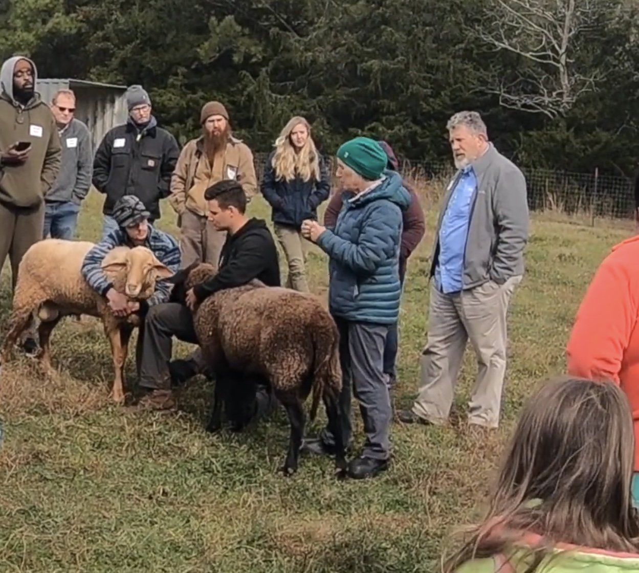 Sheep and Goat Farming 101
