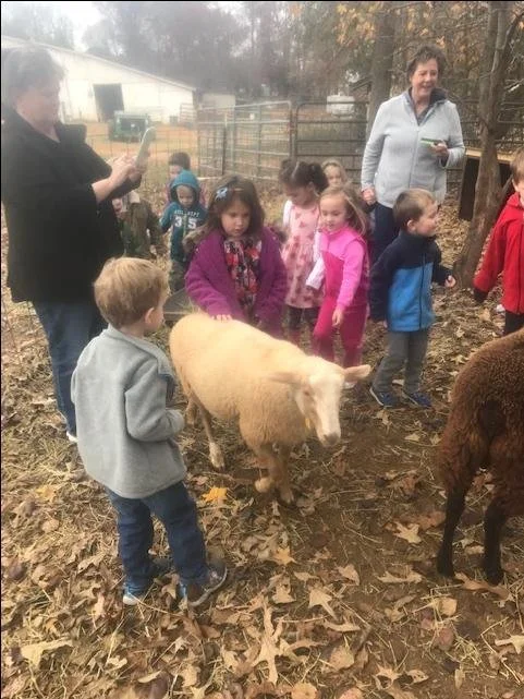 Little Shepherds: Hands-On Afternoon Class at Whispering Pines Dairy