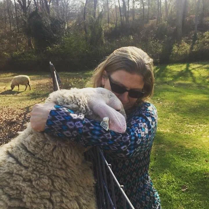 Thank Ewes: The Blessings from Sheep at Whispering Pines Dairy