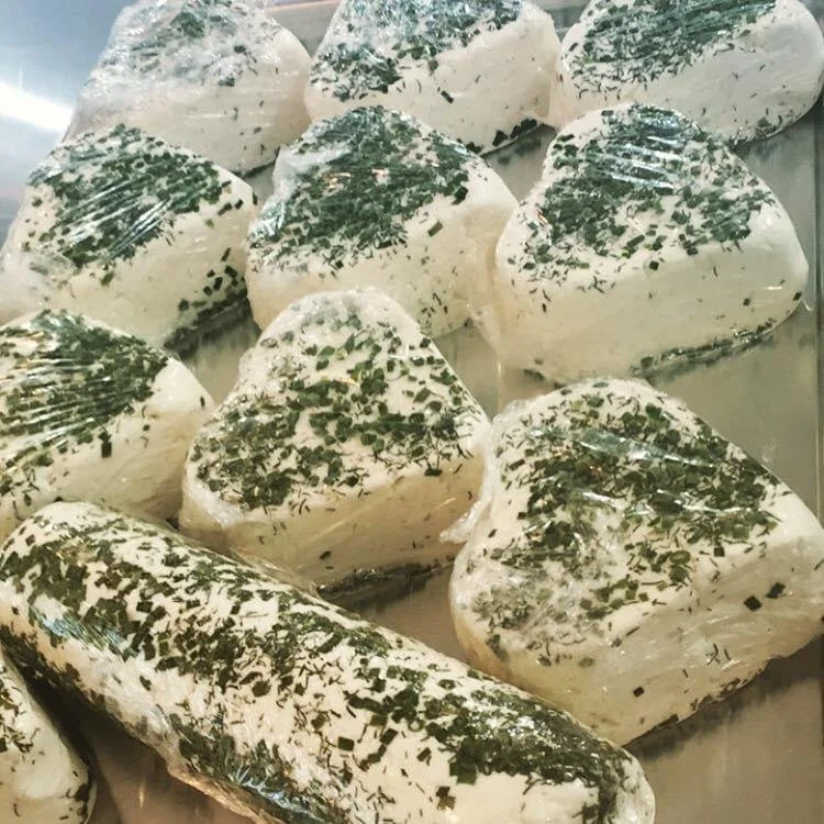 Cheese Making Basics at Whispering Pines Dairy