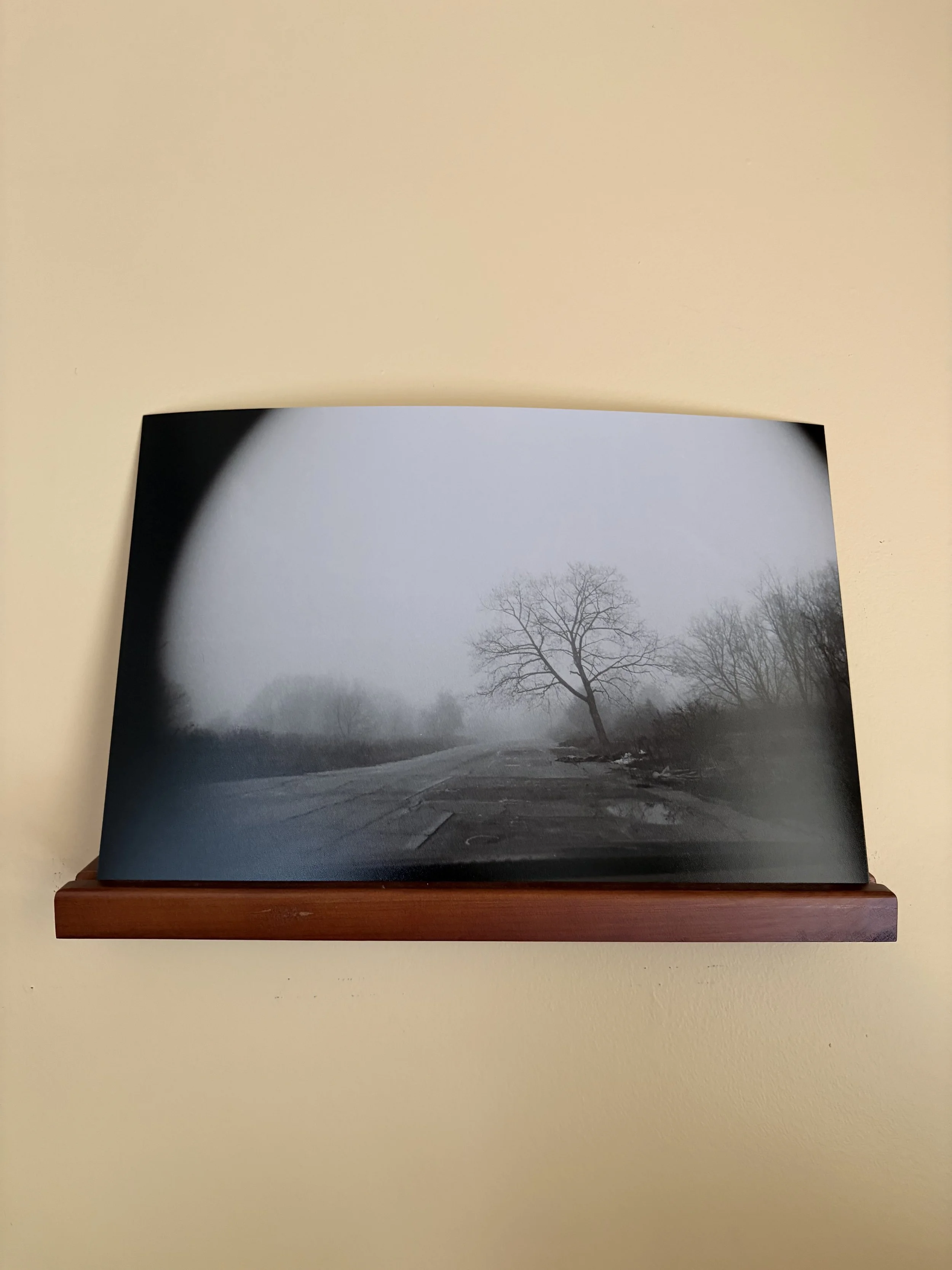 centralia 1 - 8" x 12"