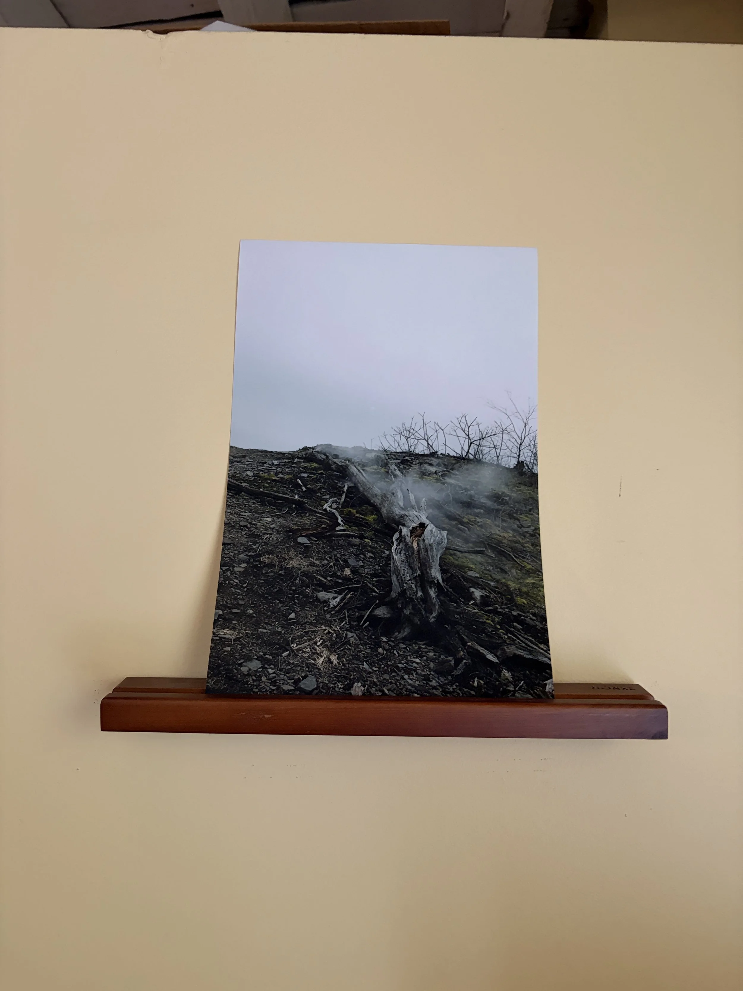 centralia 3 - 8" x 12"
