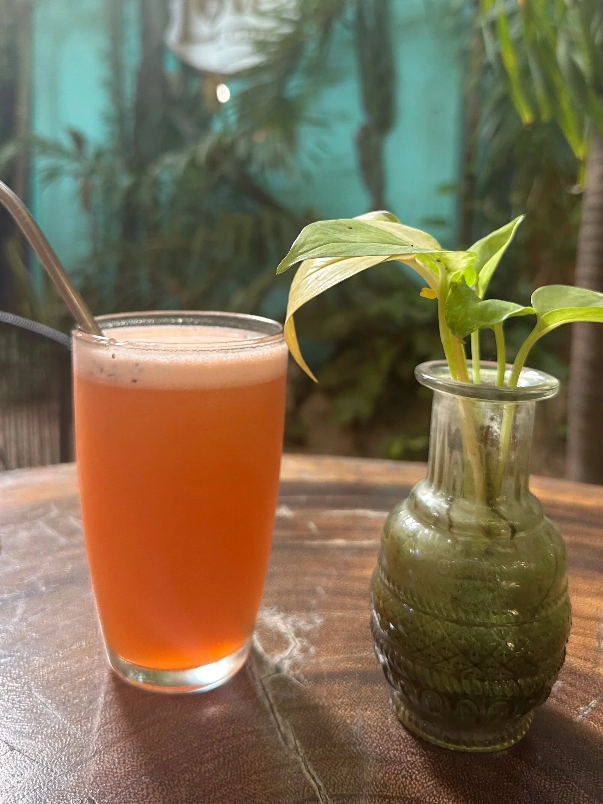 A vegan glass of orange-colored beverage filled with goji berries, with a metal straw next to a small green houseplant in a decorative glass vase, placed on a wooden surface with a blurred outdoor background.