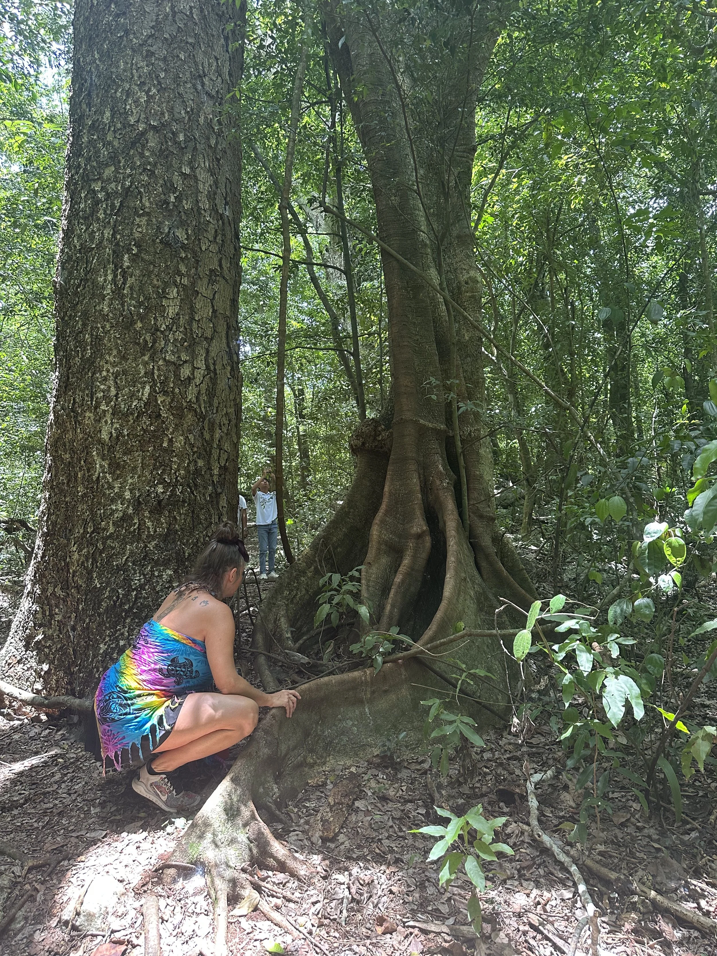 A woman in a colorful dress crouches next to the large roots of a tree in a dense forest; two people stand in the background among the trees.