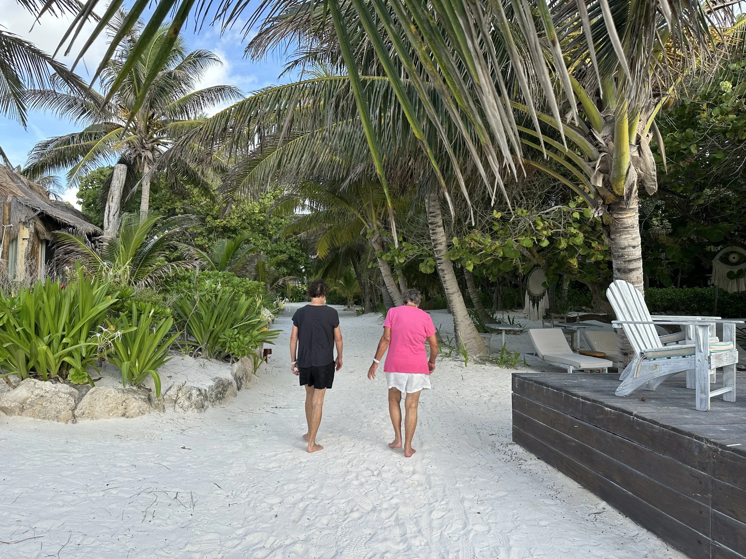Two people walking on a sandy path surrounded by palm trees and tropical plants on a beach