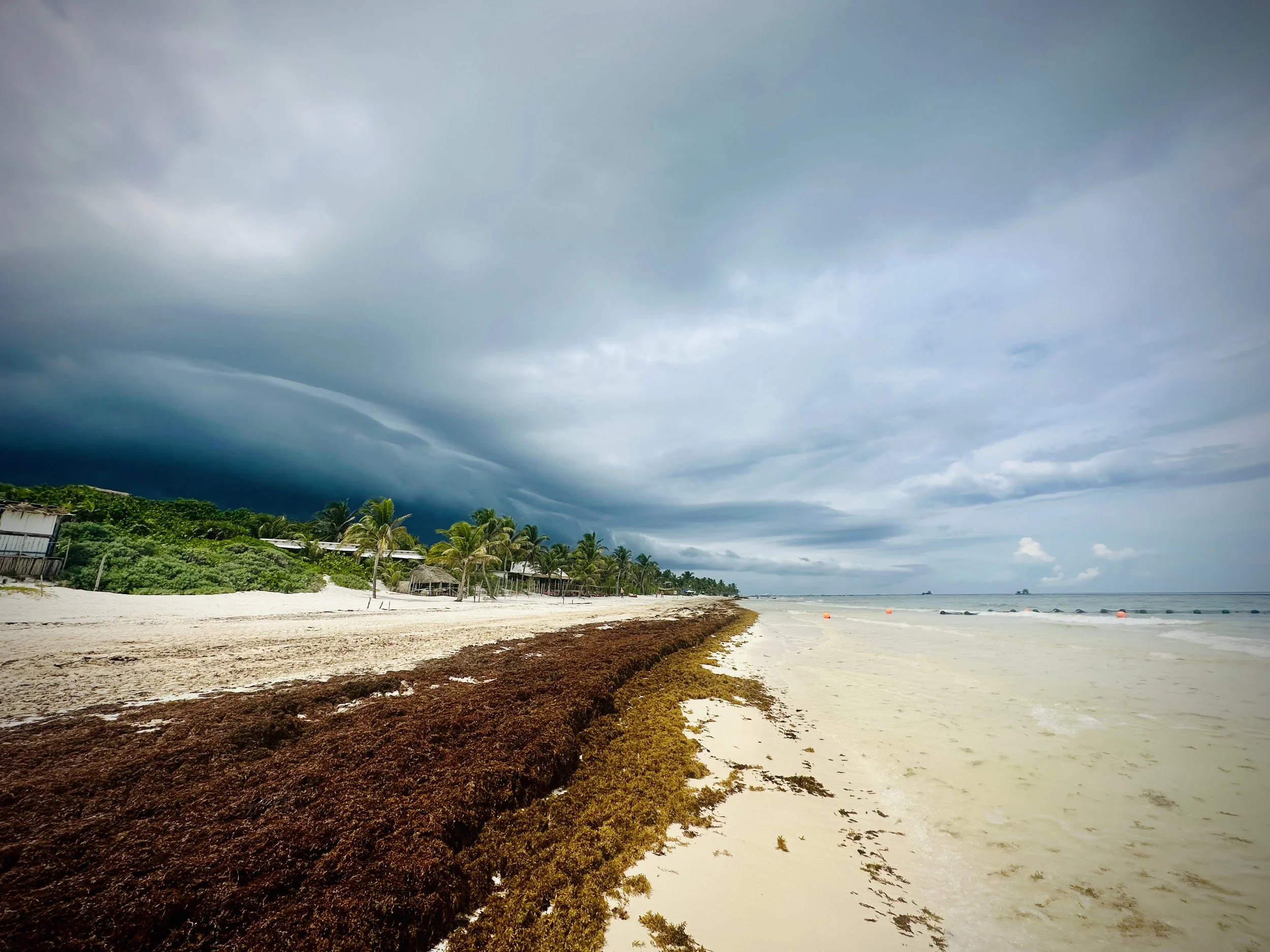 This image shows a beach with some a storm coming in along the shoreline, palm trees, small buildings, and a cloudy sky overhead in Tulum, Mexico.