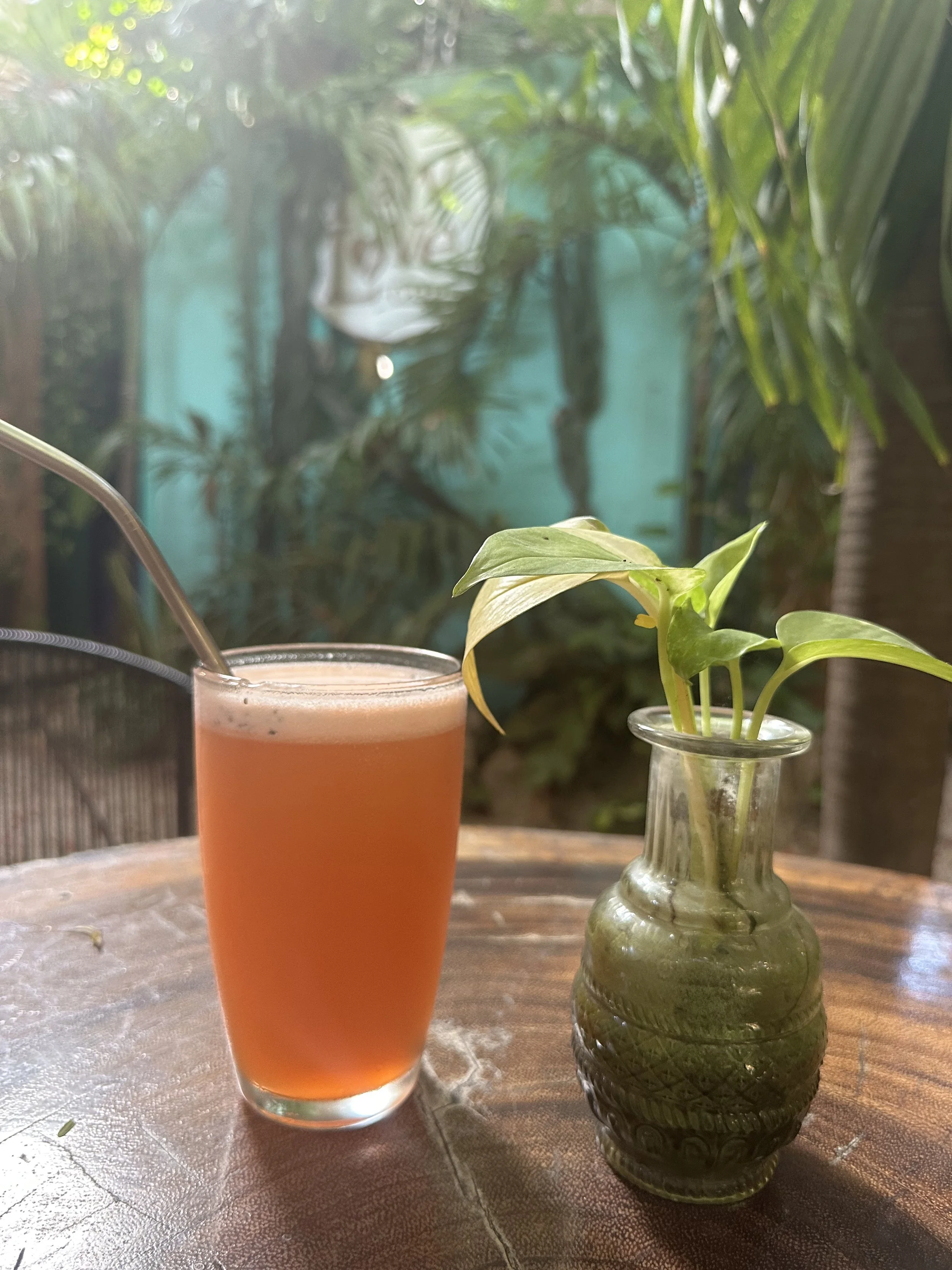 A glass of pinkish-orange juice with a straw on a wooden table next to a small green houseplant in a decorative glass vase, with lush green plants and trees in the background.