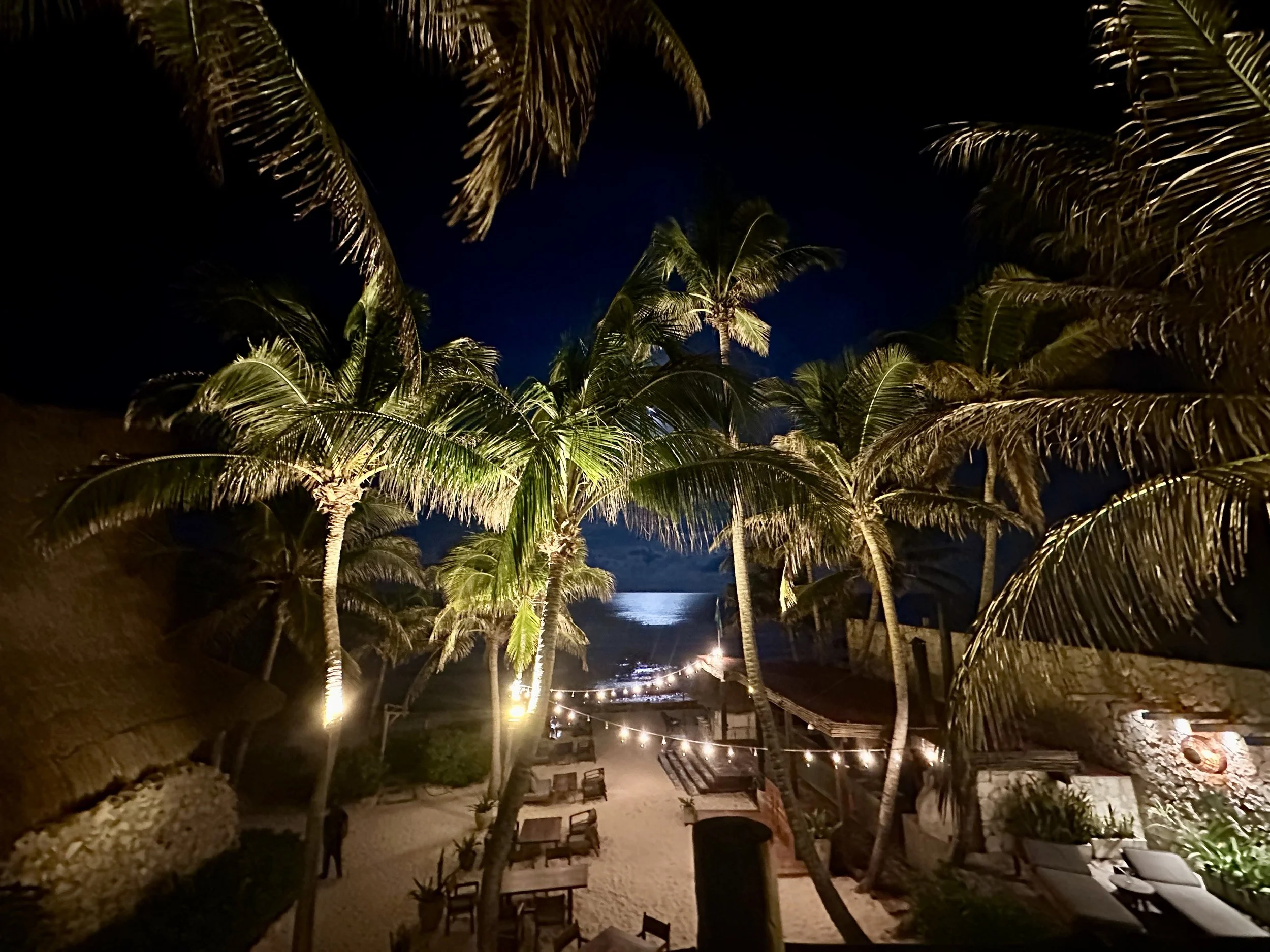 Nighttime scene at a tropical beach with palm trees, string lights, and a view of the ocean.