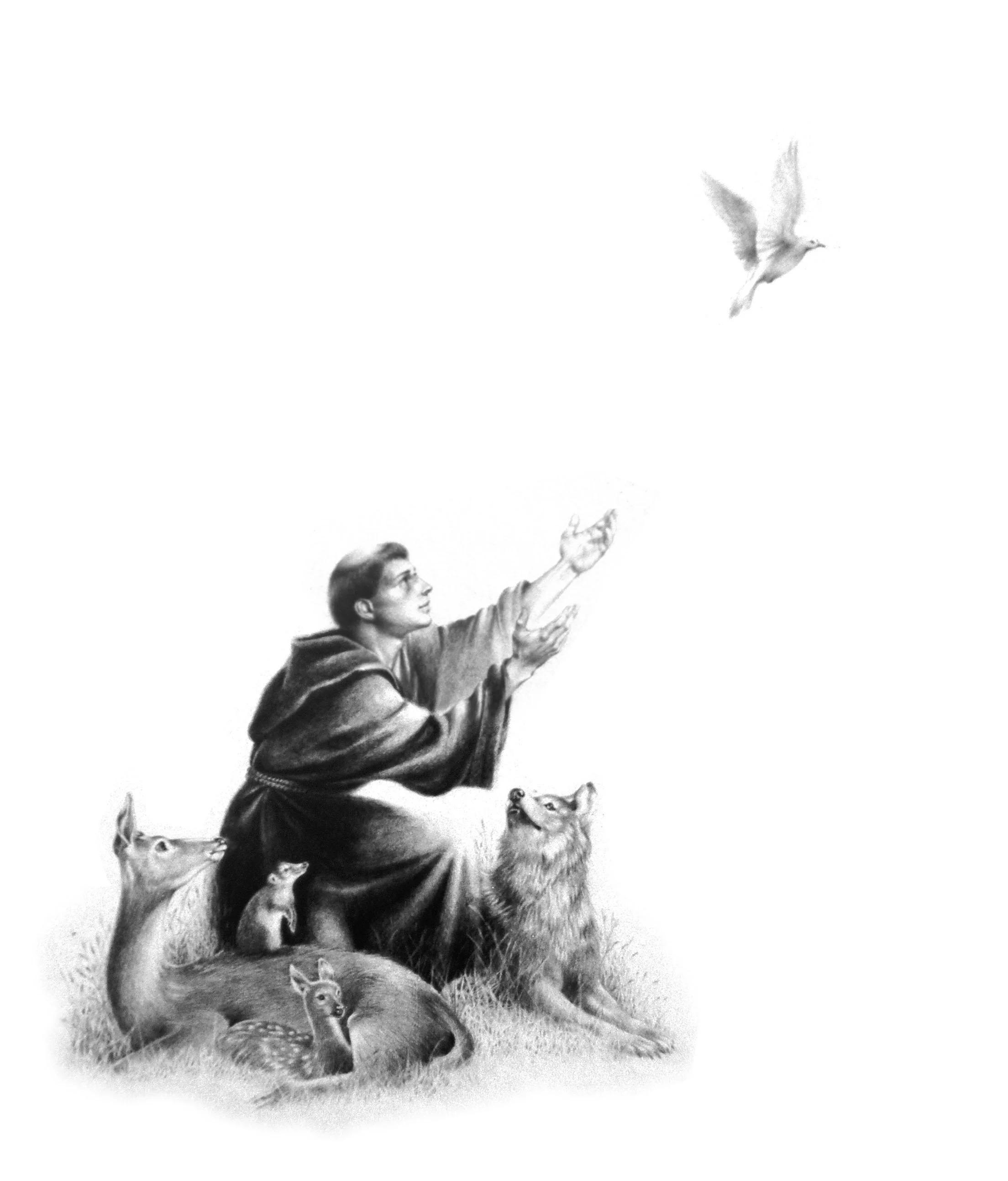 St. Francis.jpg