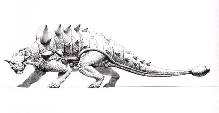  Euoplocephalus.jpg