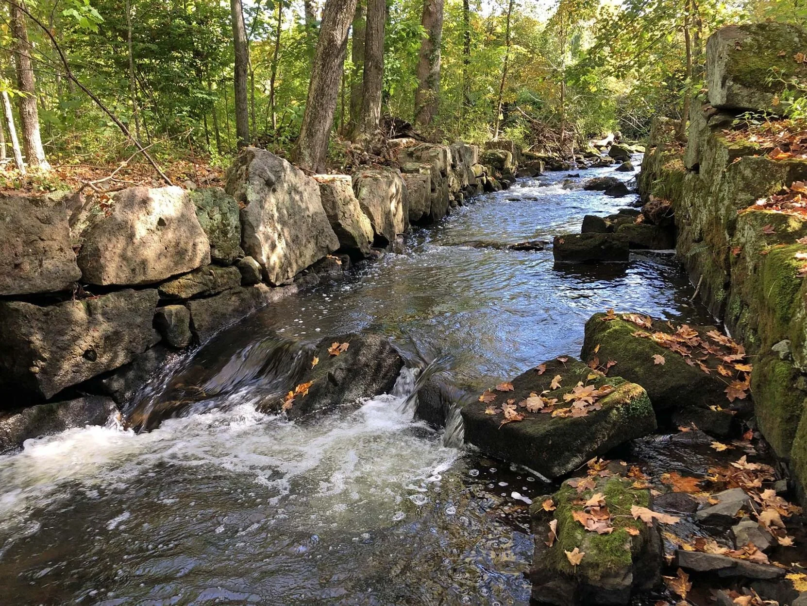 Tyler Mill Preserve- Wallingford, CT