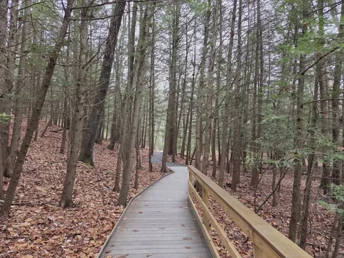 Harry C Barnes Memorial Nature Center- Bristol, CT