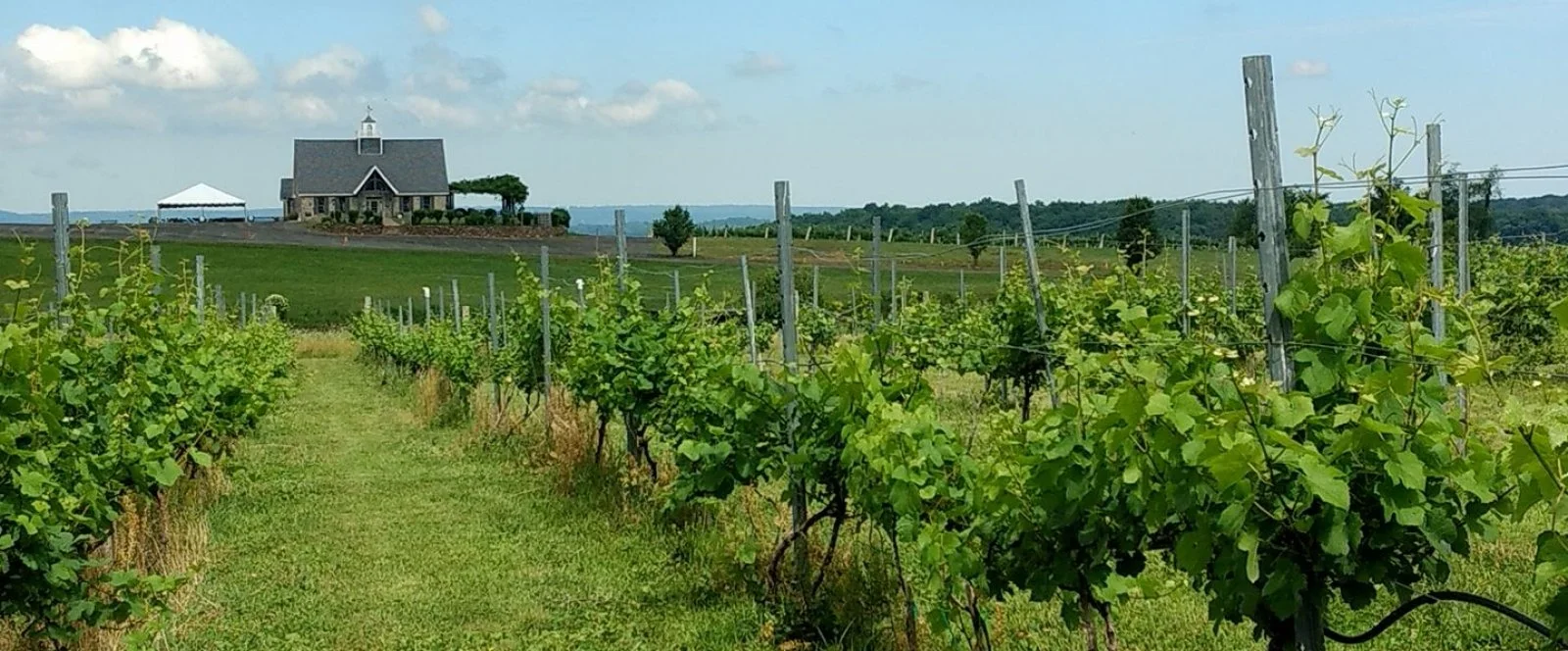 Gouveia Vineyards- Wallingford, CT