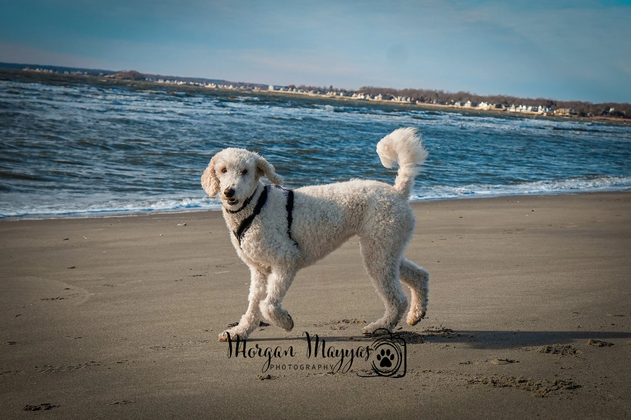 Hammonasset State Park- Madison, CT