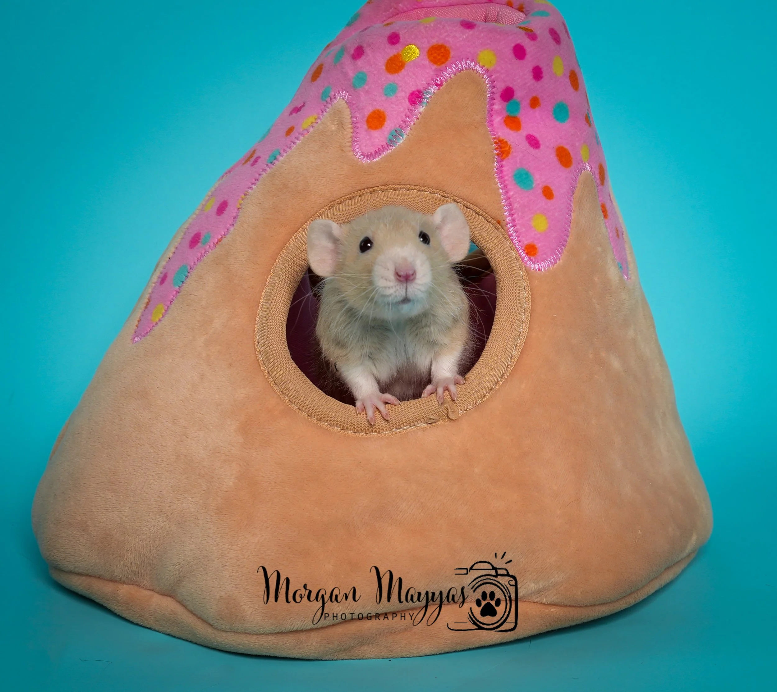 Watermark Rats-03.jpg