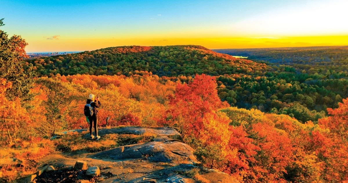 Sleepy Giant State Park- Hamden, CT