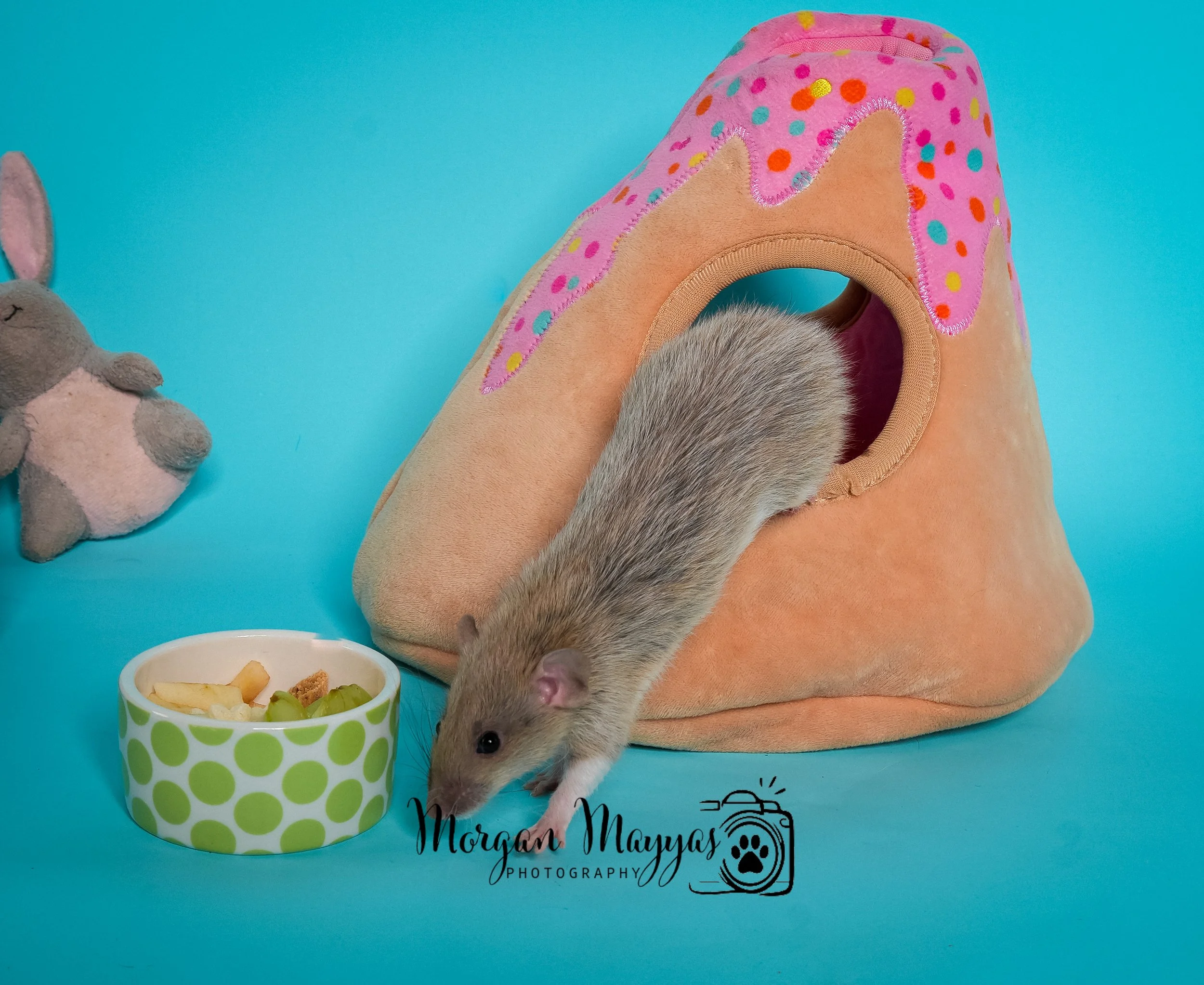 Watermark Rats-05.jpg