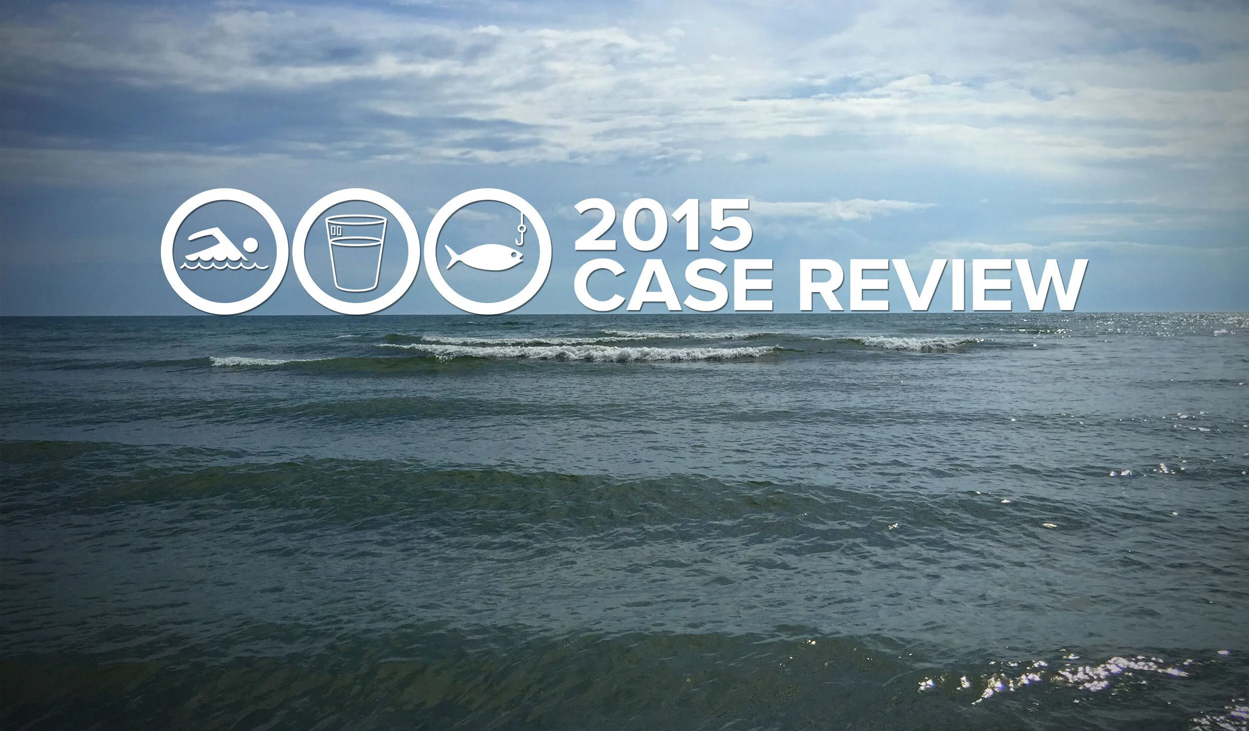 2015 Case Review: Where do we stand at the end of the year?