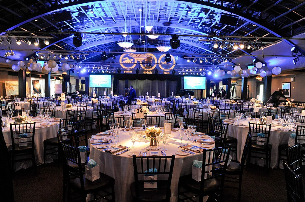Gala Blog #1: May we have your attention, please?