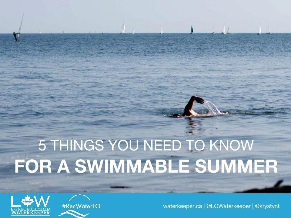 5 Things You Need To Know for a Swimmable Summer