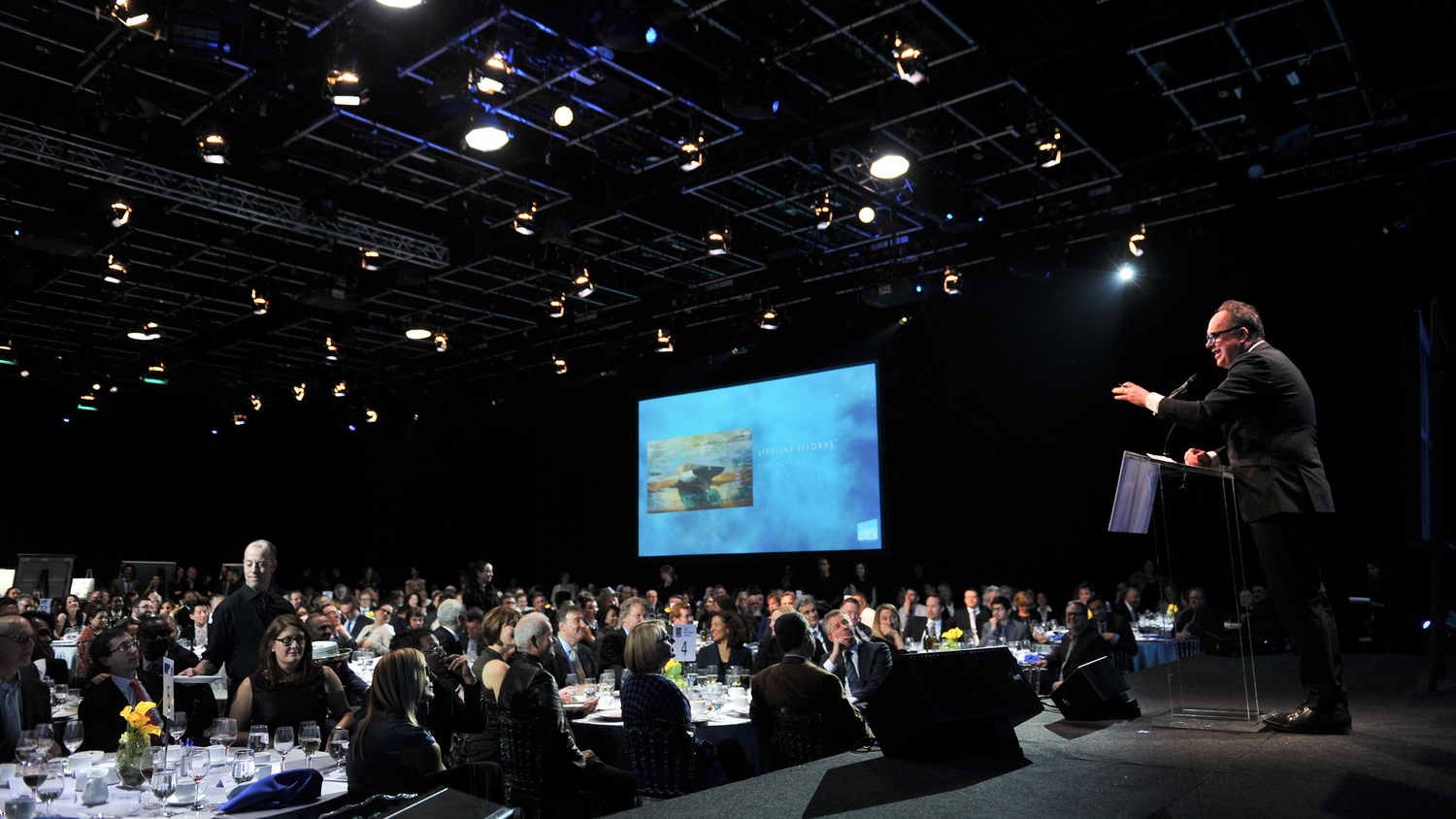 Canadian artists, philanthropists make water personal at Waterkeeper Gala Toronto