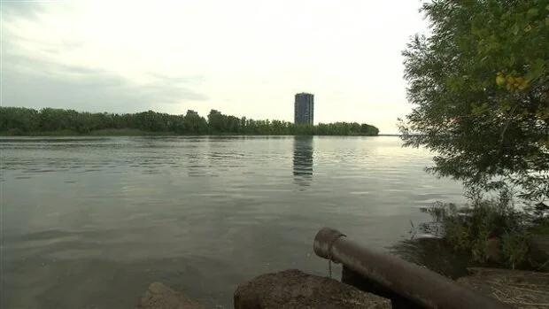 Merci, Montreal. THIS is what a “Swim Drink Fish” nation looked like (for a day). (Updated)