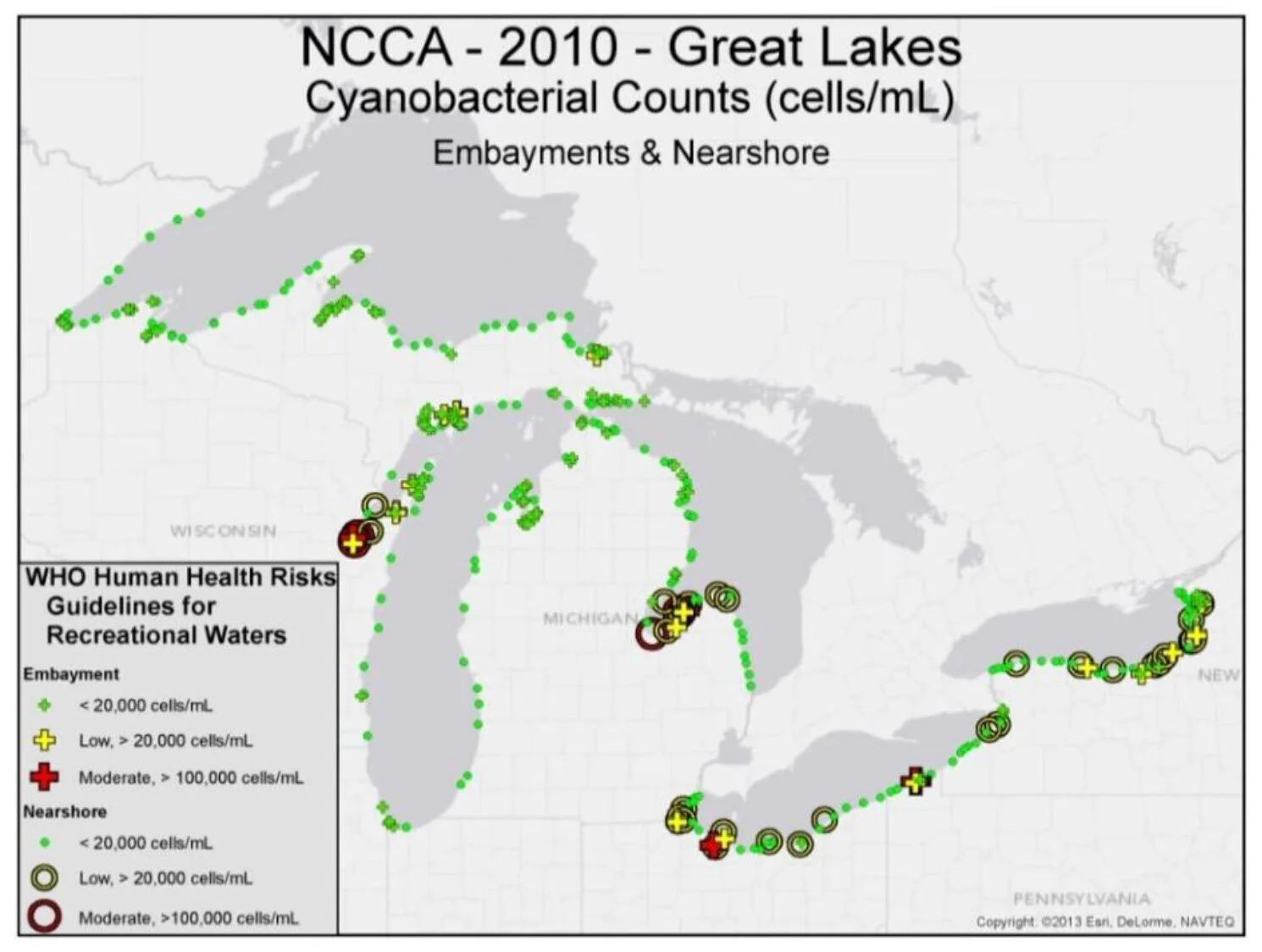 EPA study finds high levels of toxins in Great Lakes fish