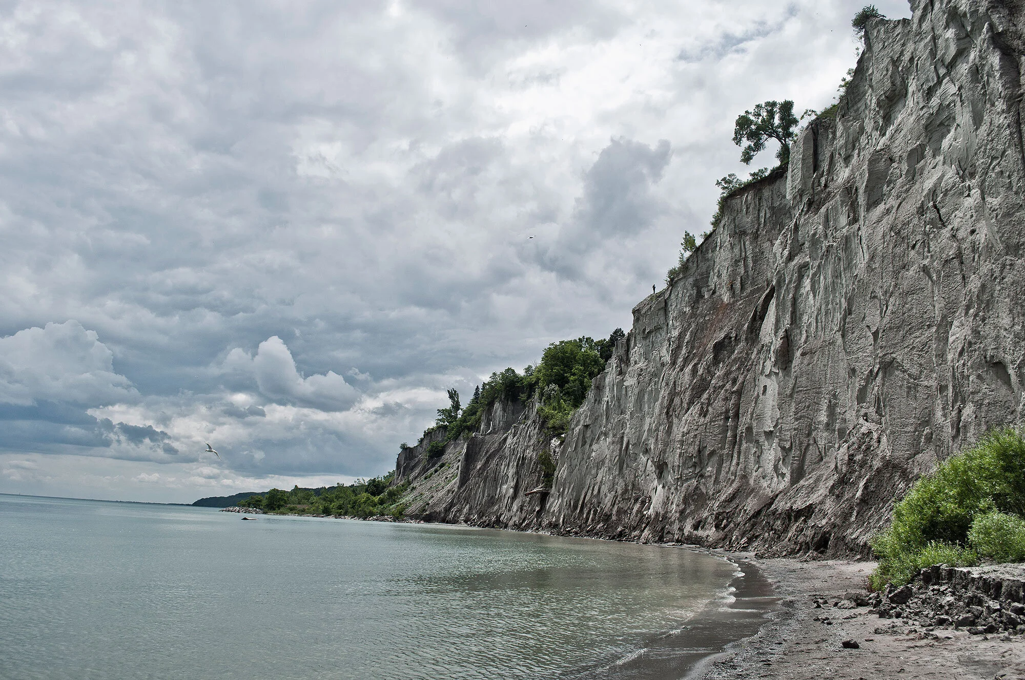 Decision time for the Scarborough shore: What kind of waterfront do we deserve?