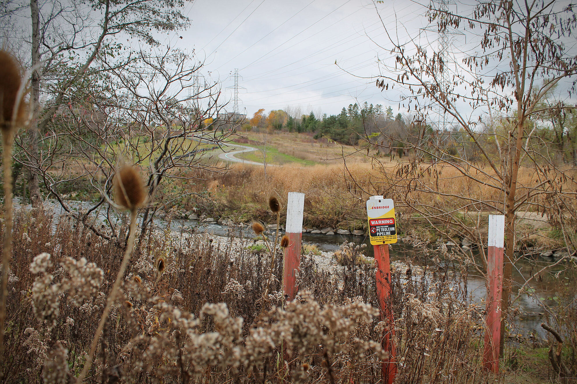 What does it mean to have social licence?