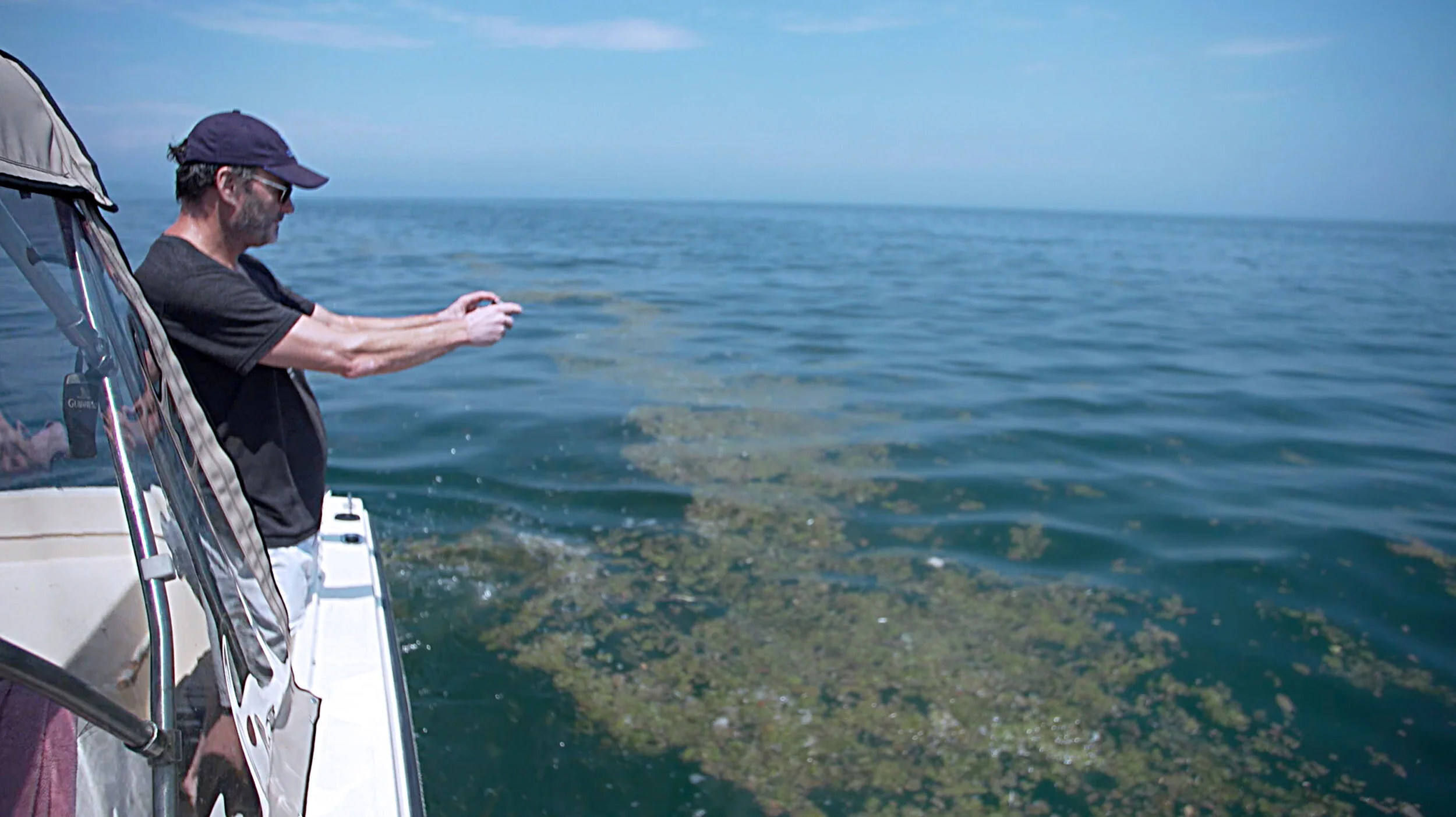 Taking your volunteer commitment one step further: Pollution Reporting