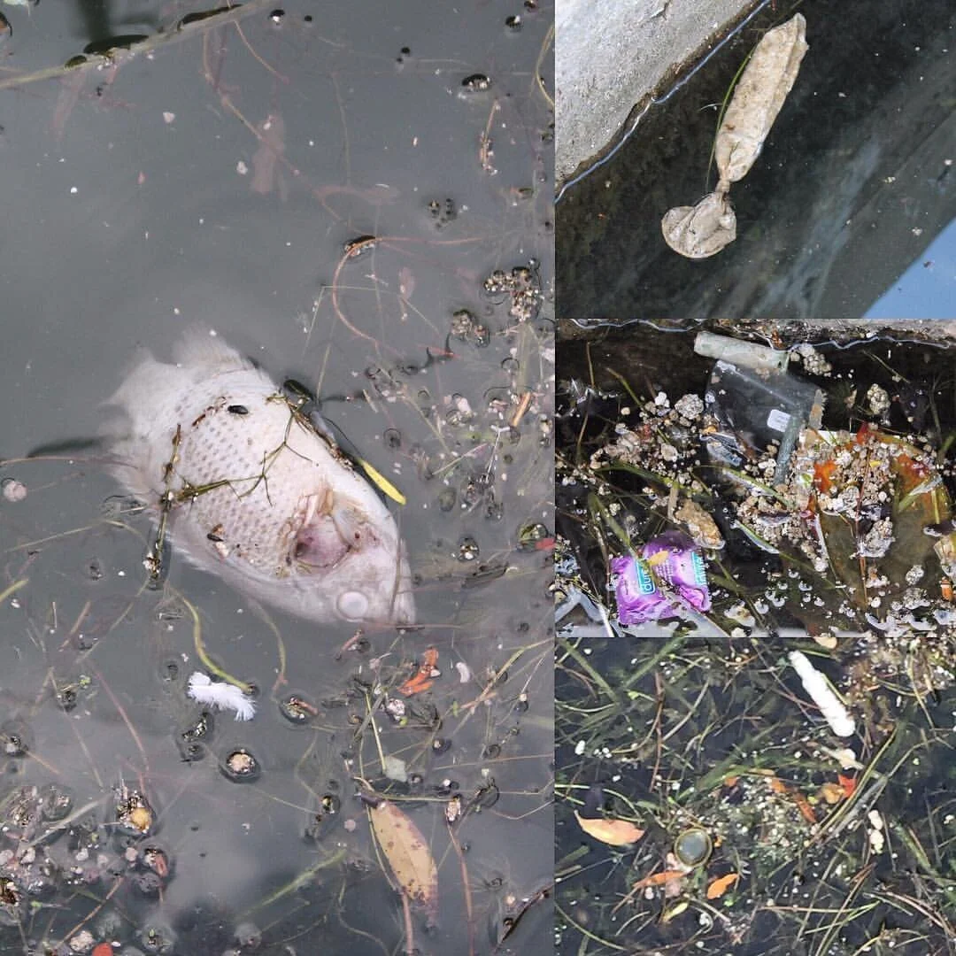 Why I can’t encourage you to jump in