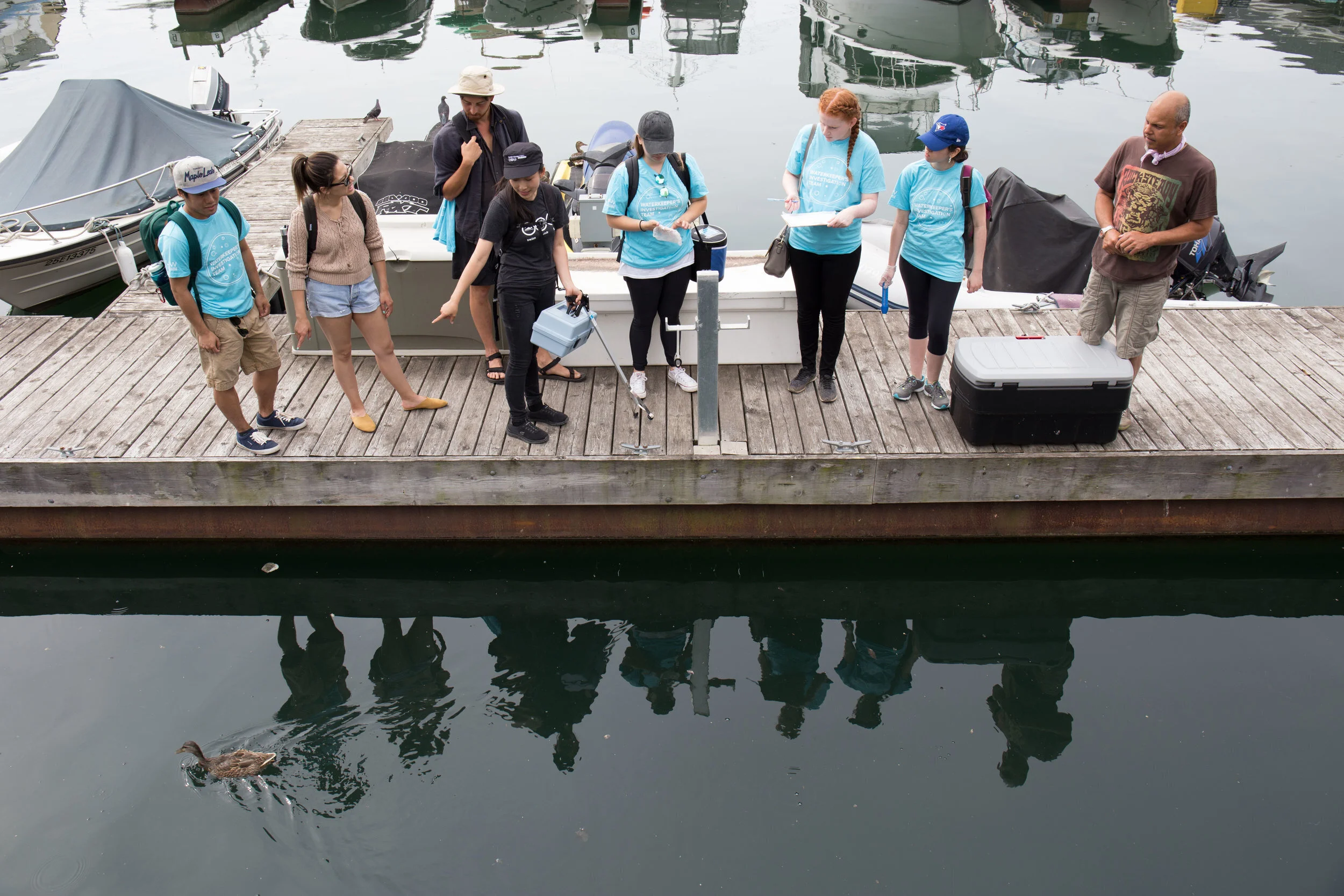 Toronto Harbour Monitoring Report 2017: Key Findings and Recommendations