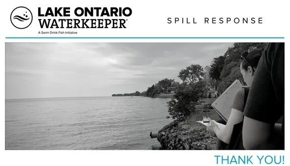 Give the Gift of Swim Drink Fish 