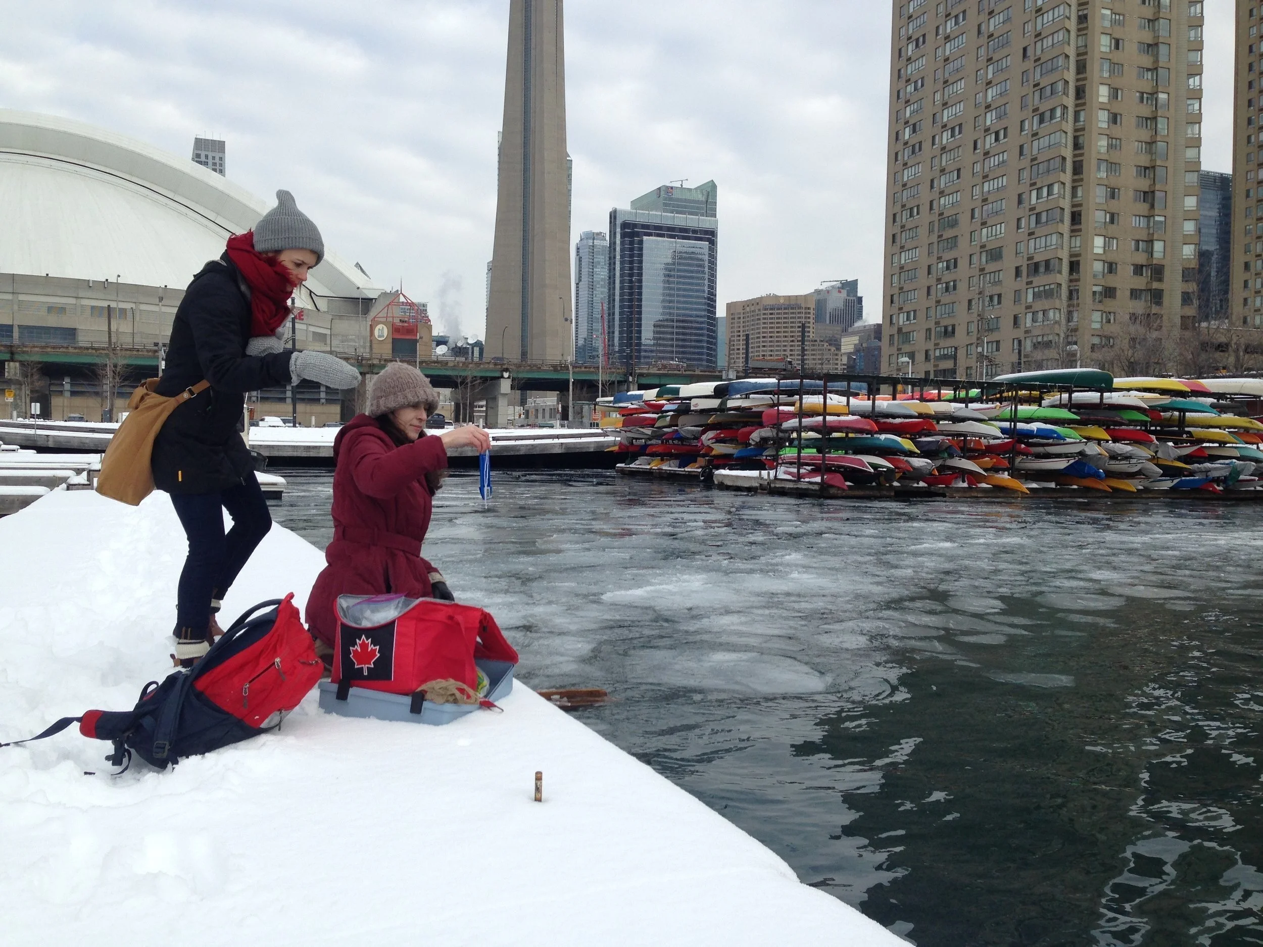 Toronto Harbour sampling: winter edition