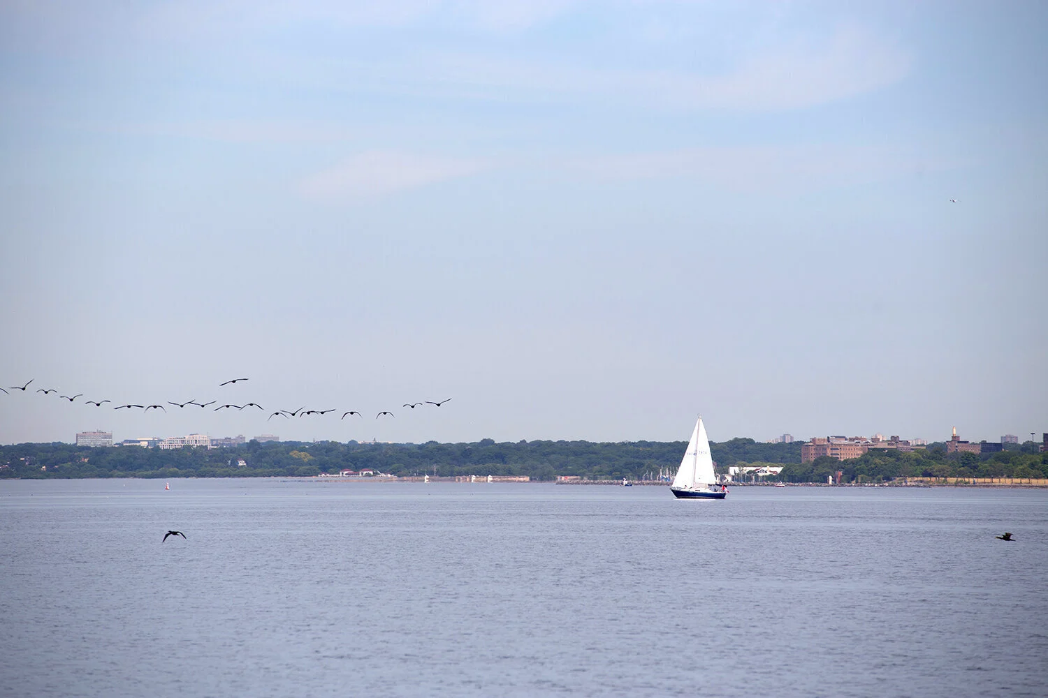U.S. budget reveals massive cuts to Great Lakes restoration