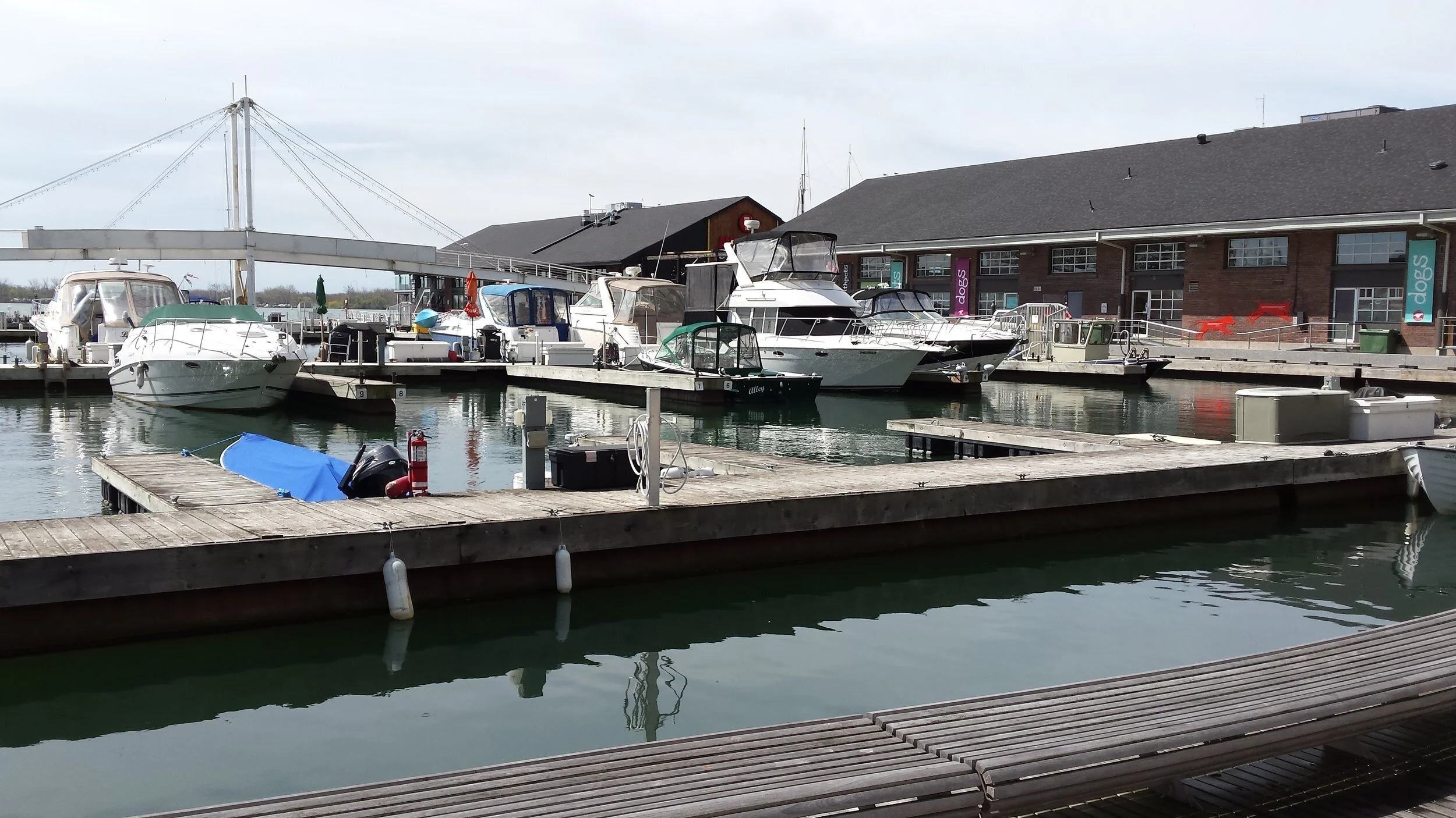 Toronto Harbour update: E. coli levels have dropped
