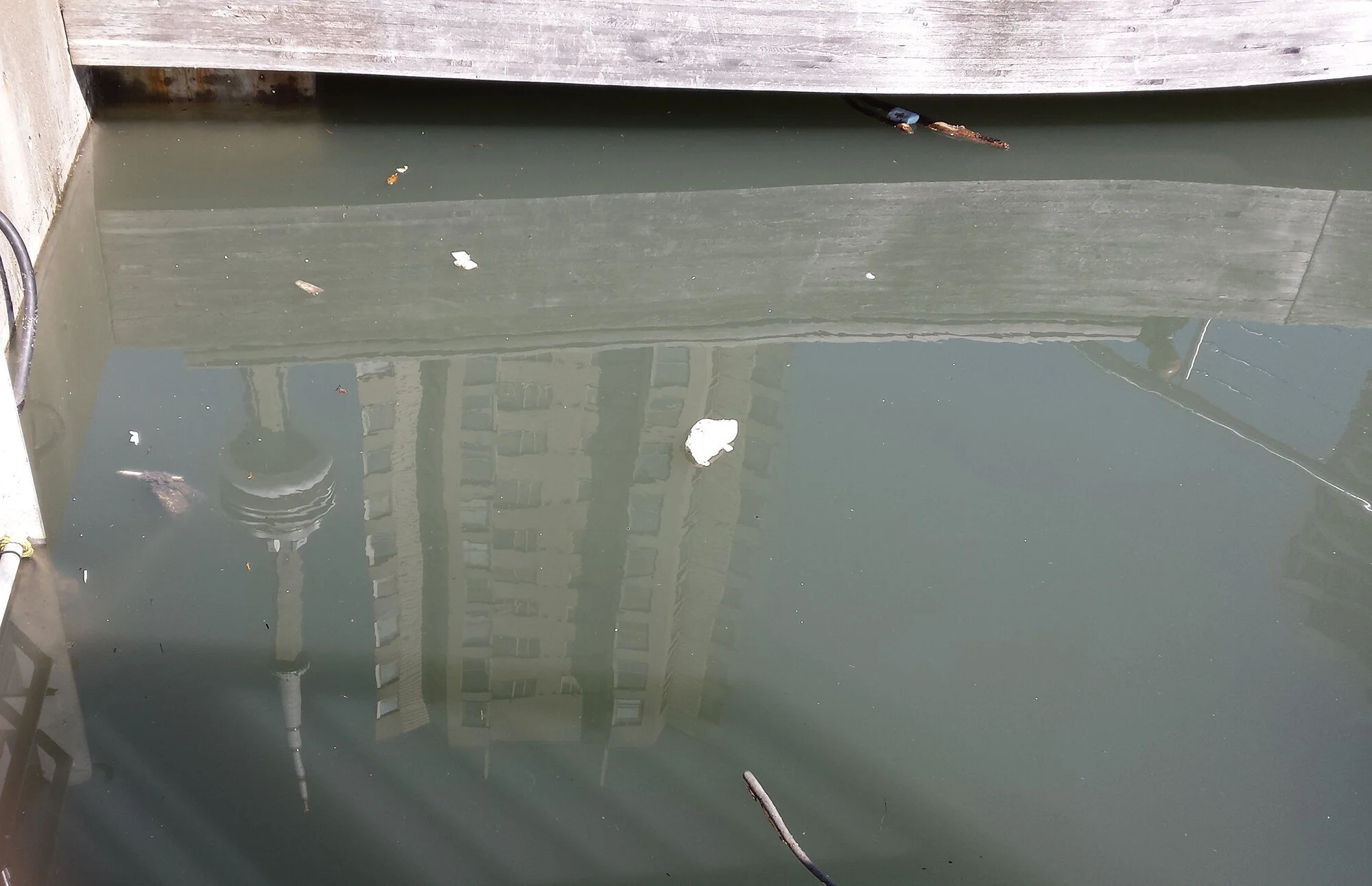 Case Update: What’s happening in Toronto Harbour