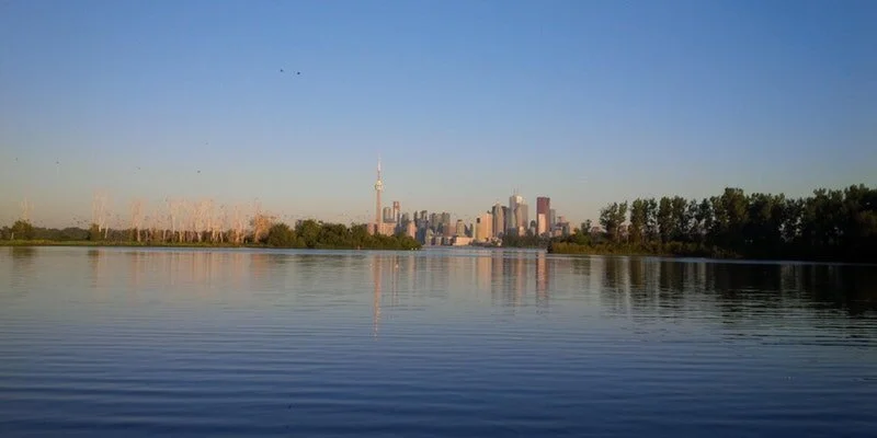 City officials to discuss Toronto water quality at public meeting, September 20